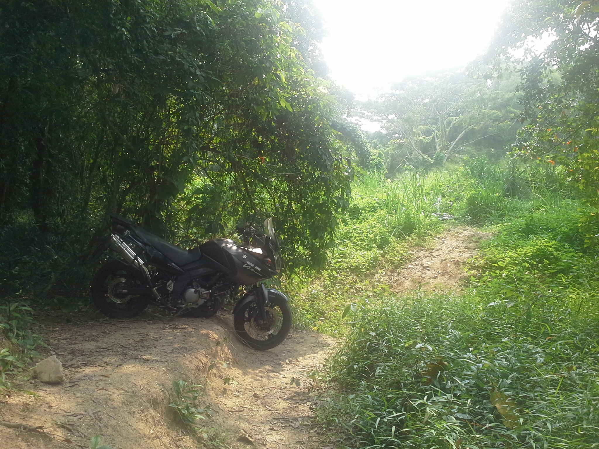 Photo 2761289