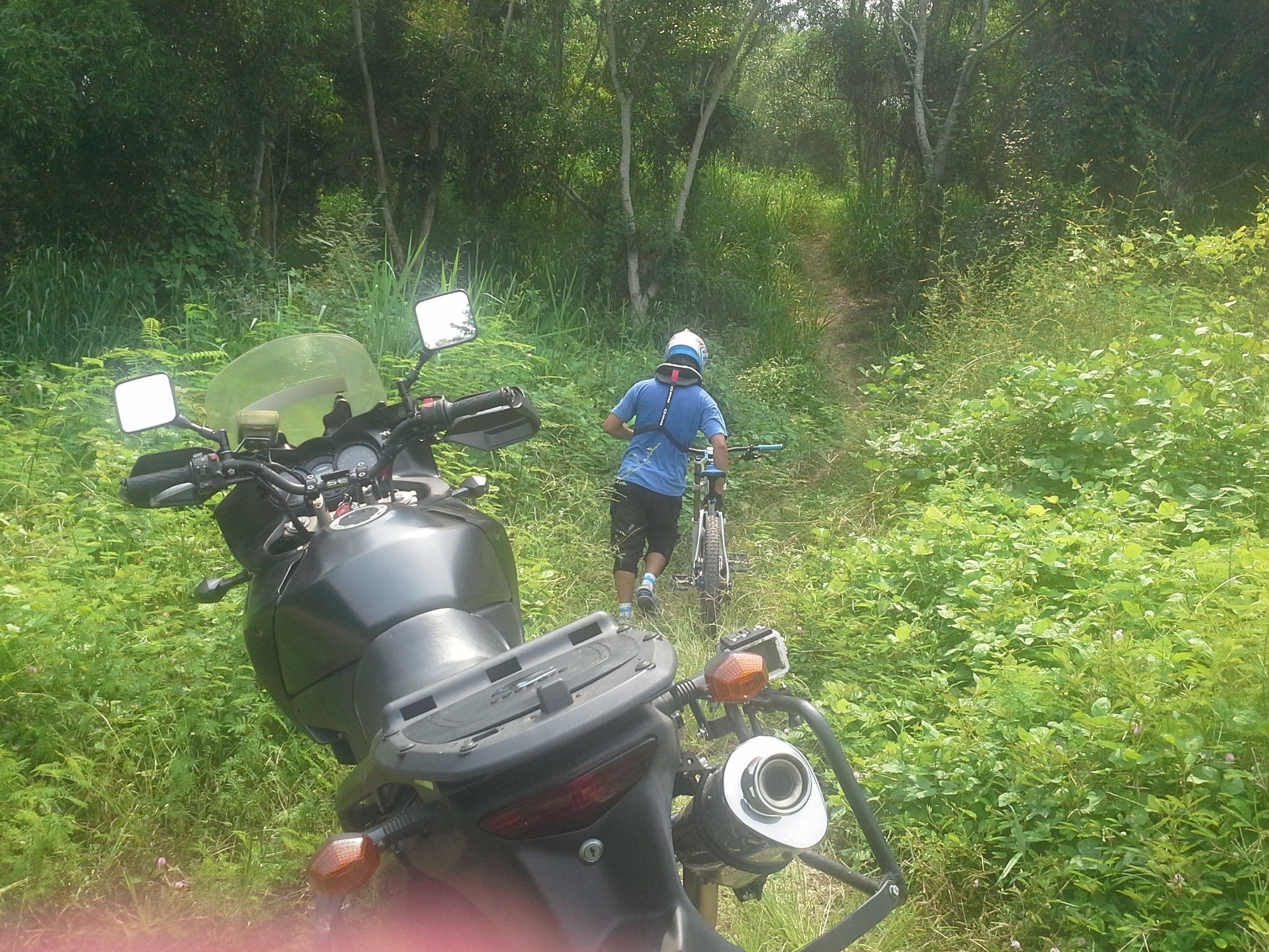 Photo 2761290