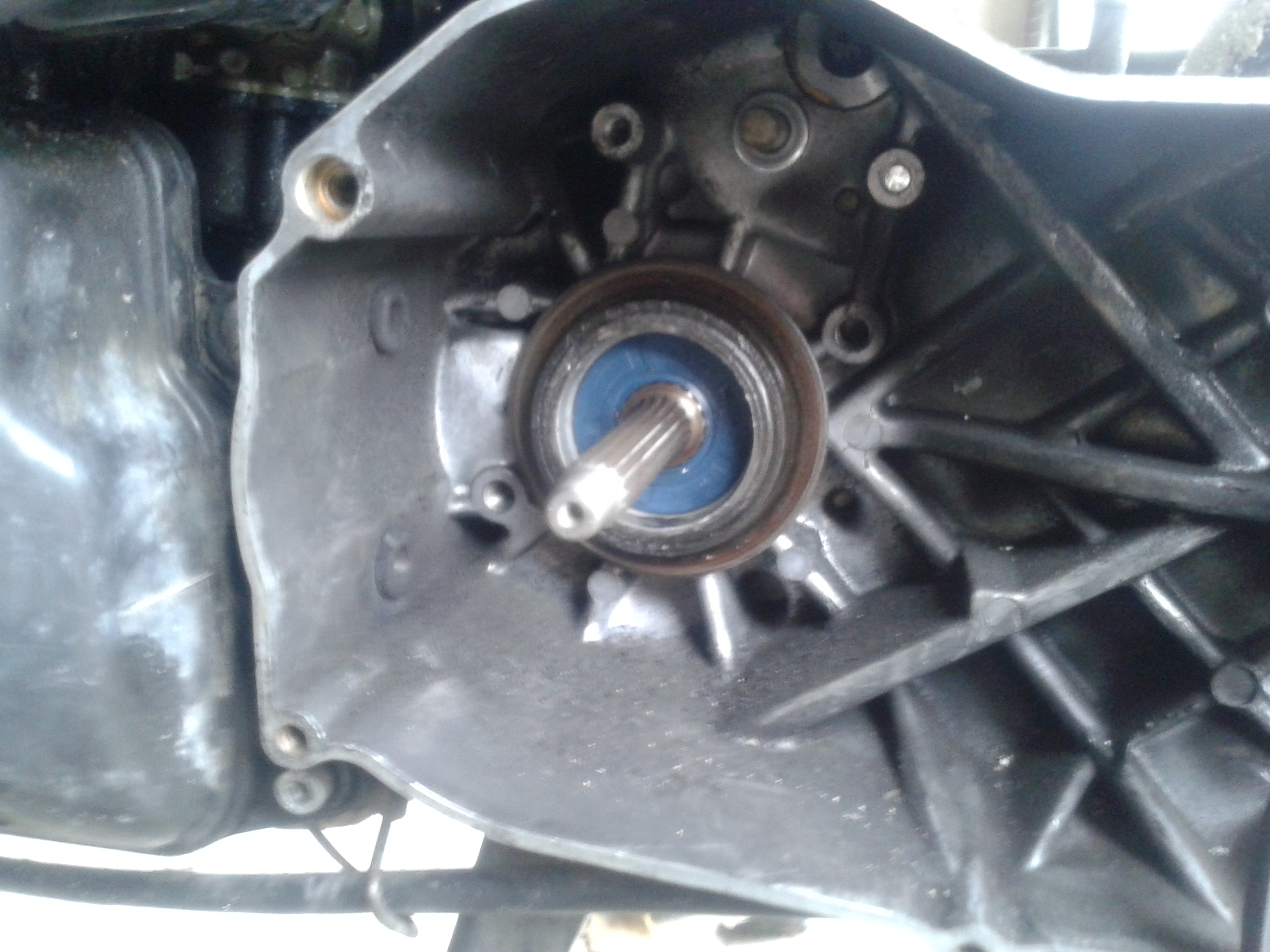 Photo 2761313