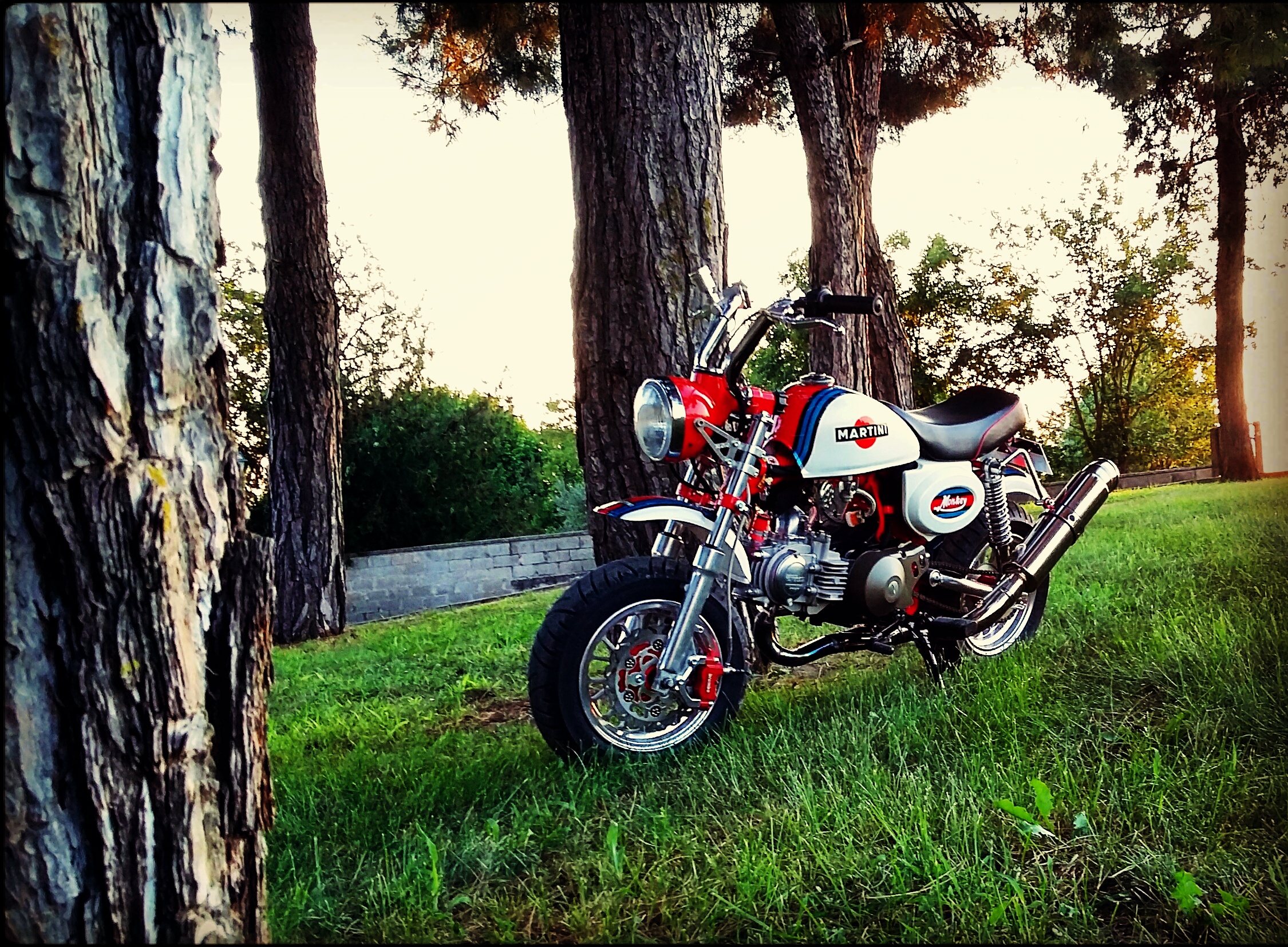 Bike Photo 2761446