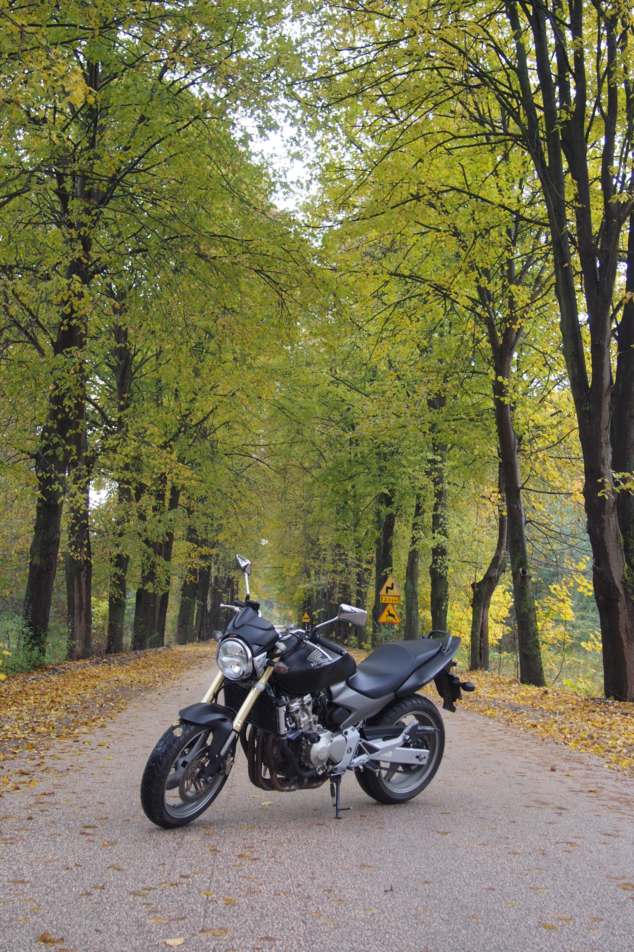 Bike Photo 2761497