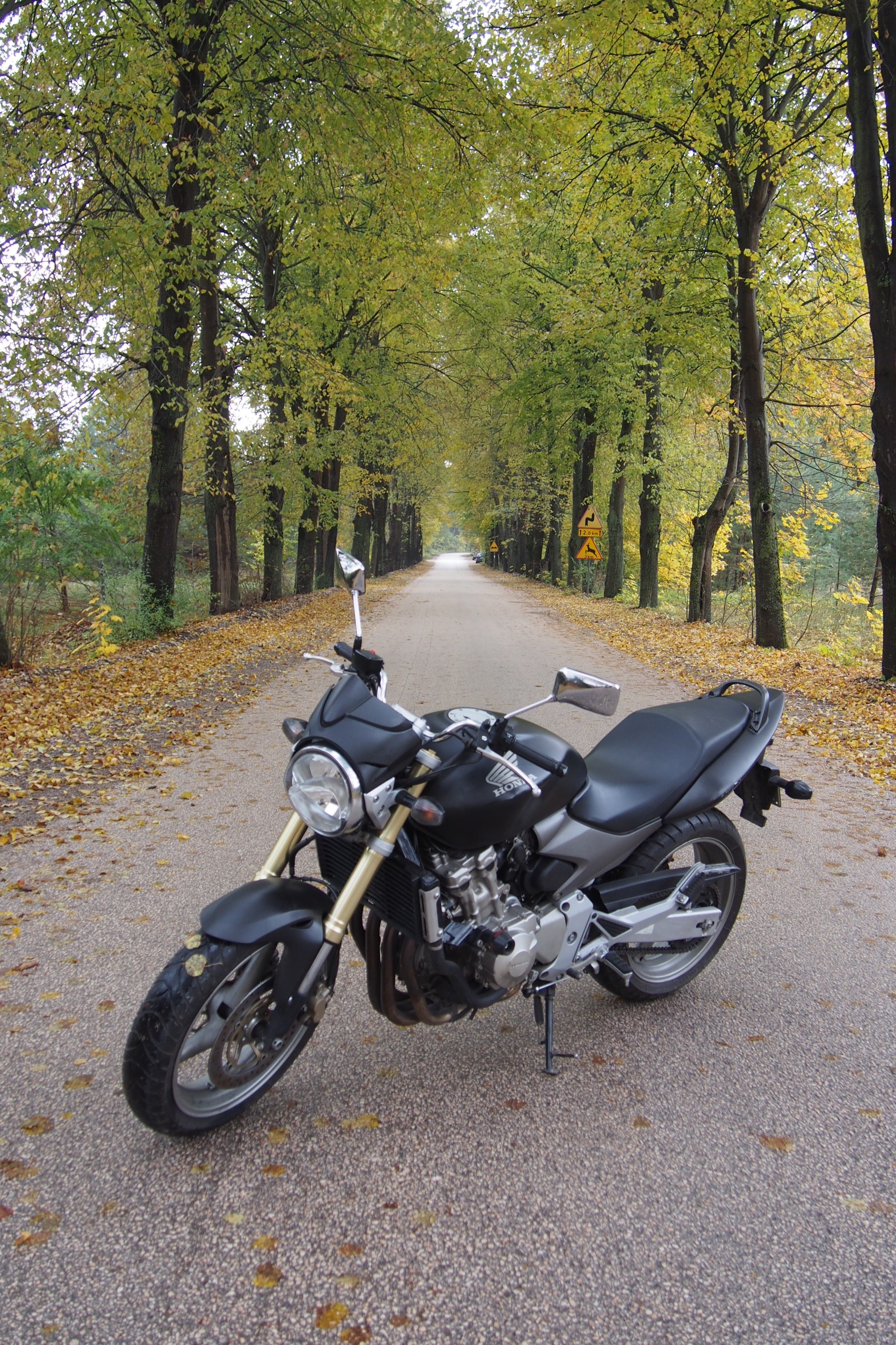 Bike Photo 2761498