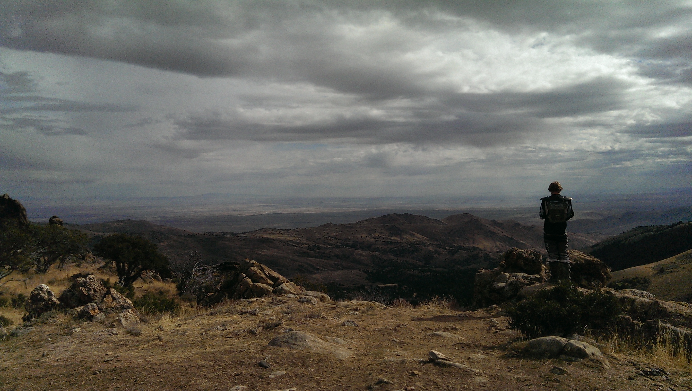 Photo 2761634
