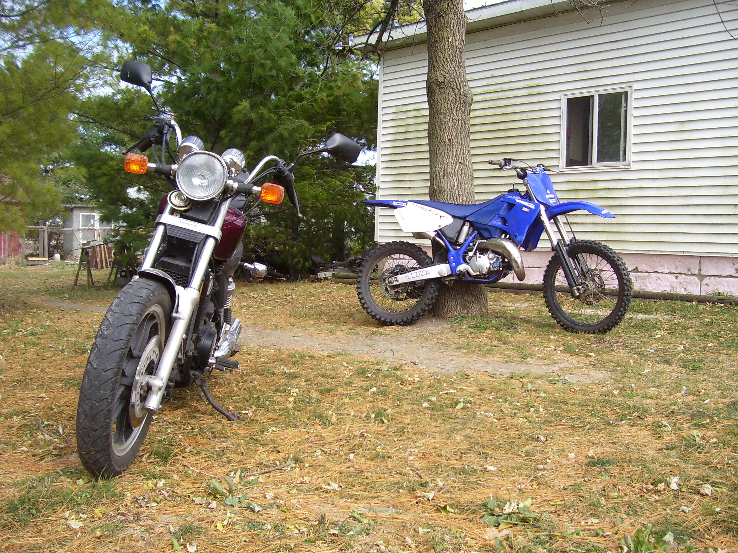 Photo 2761787