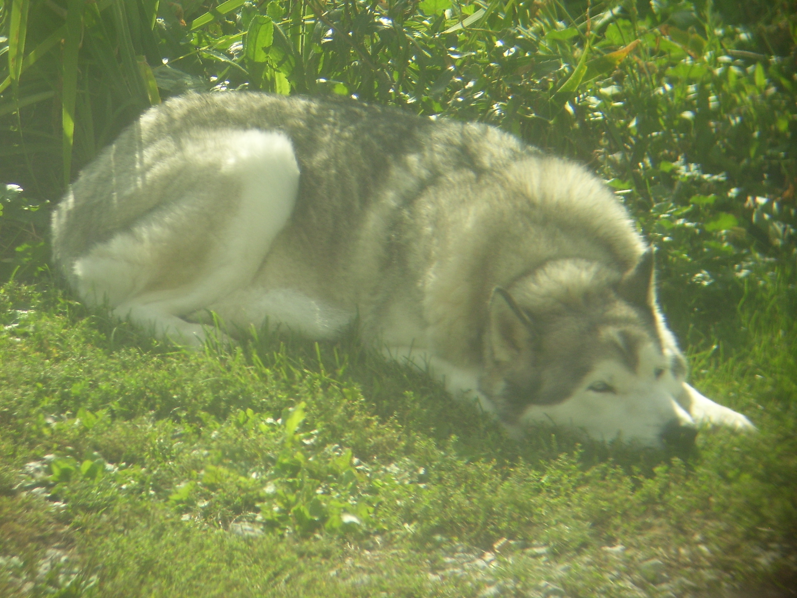 Photo 2761799