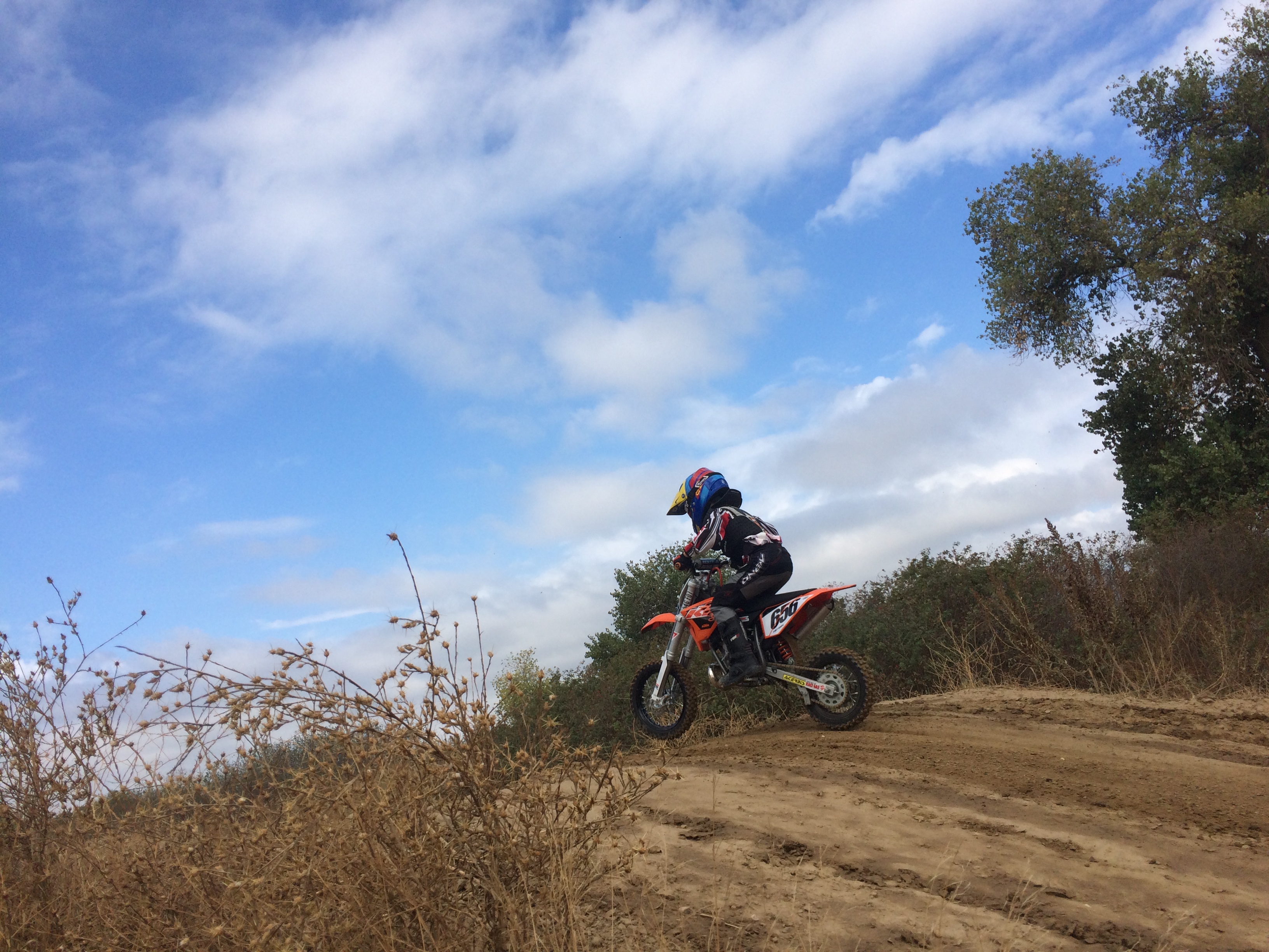 Photo 2761884