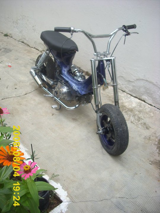 Photo 2761965