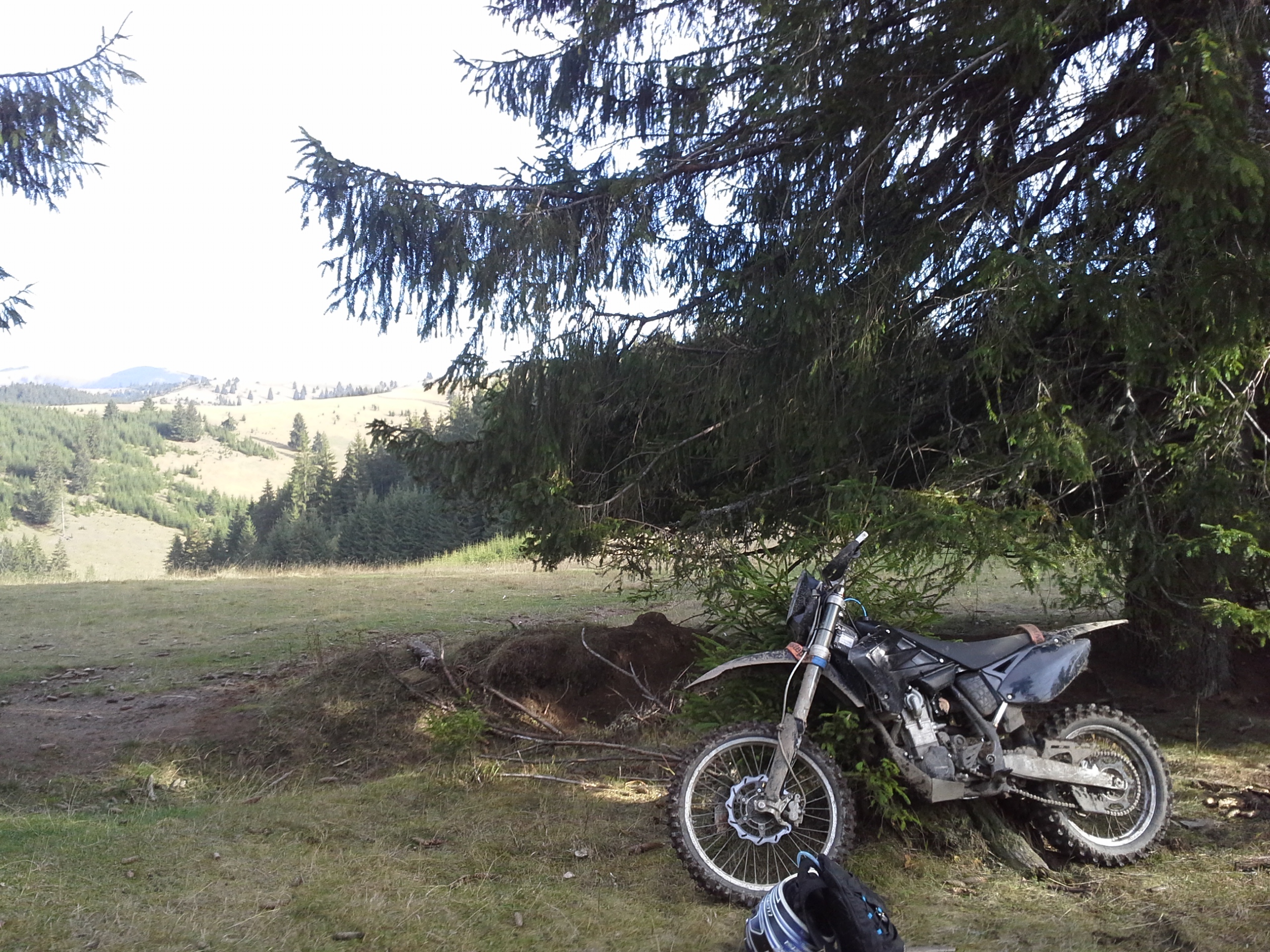 Photo 2762121