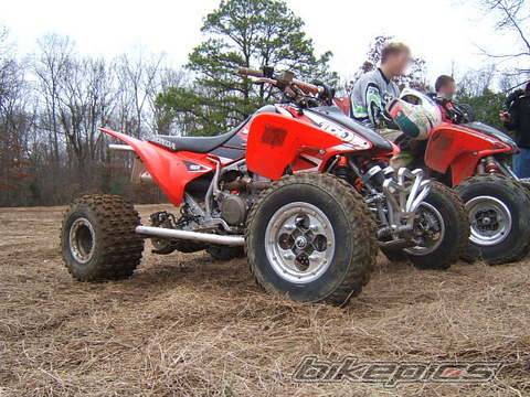 Photo 276216