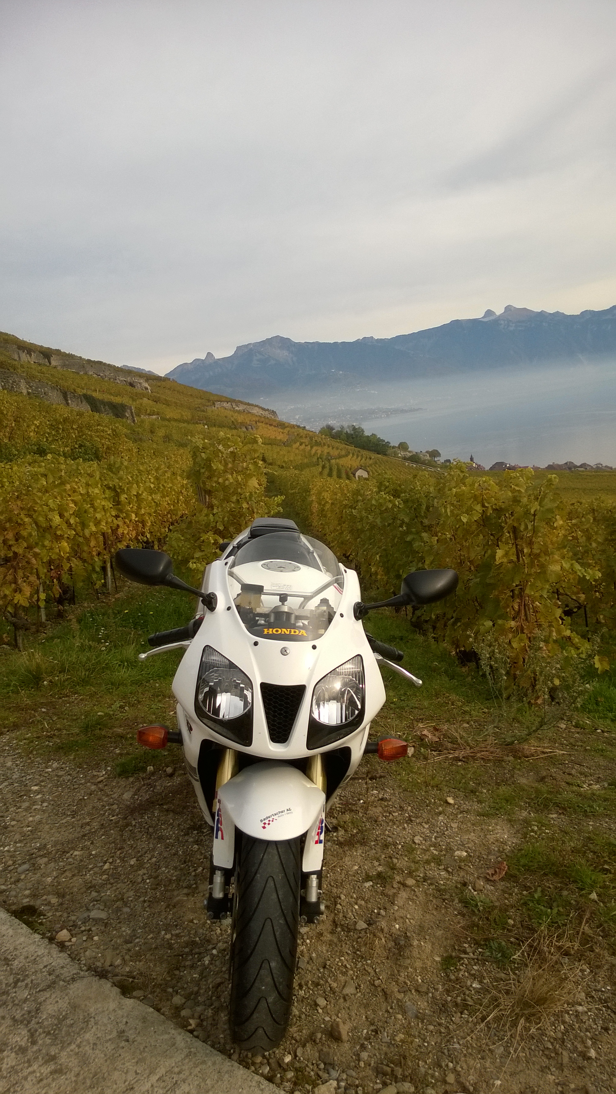 Photo 2762162