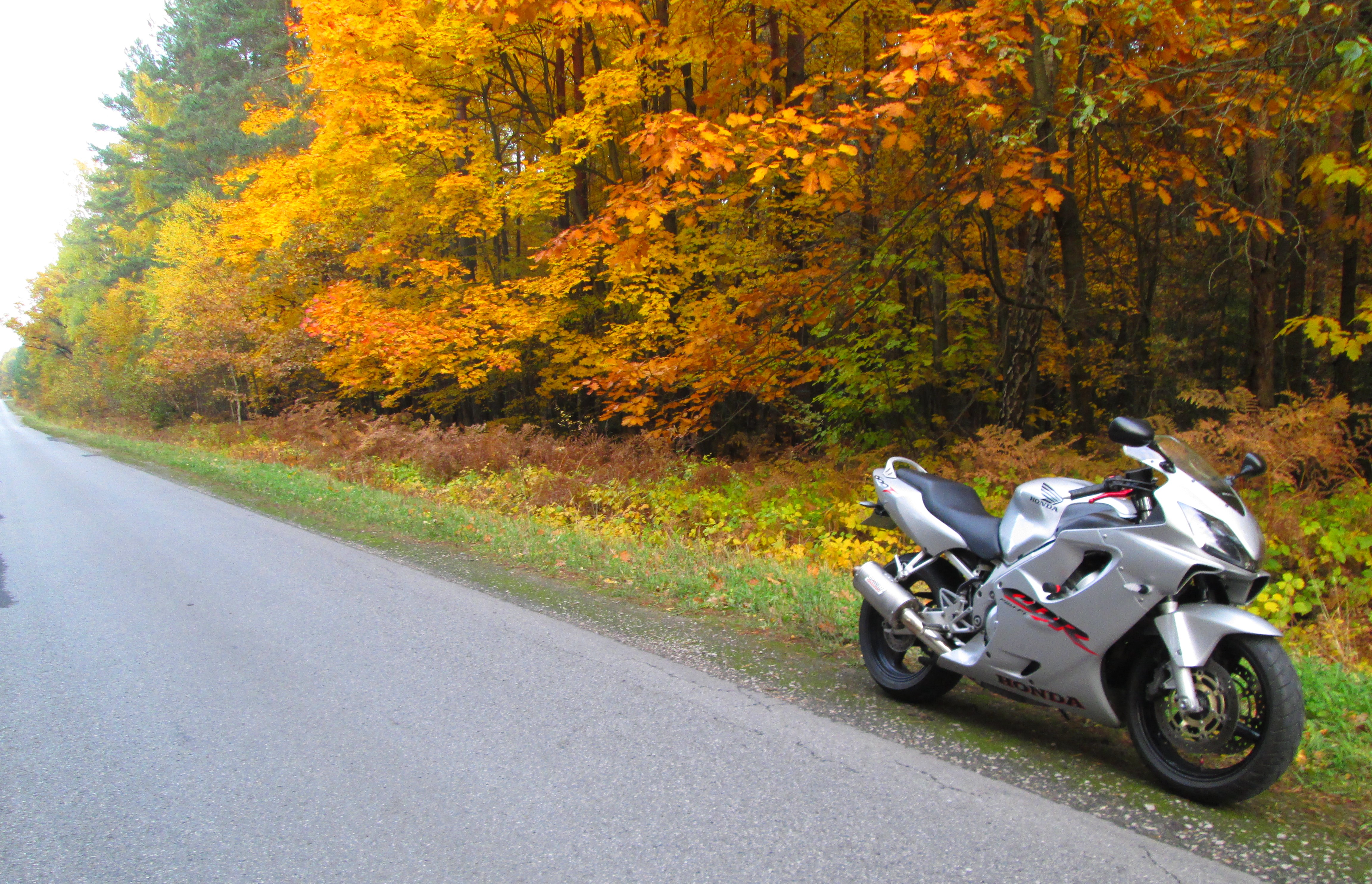 Bike Photo 2762163