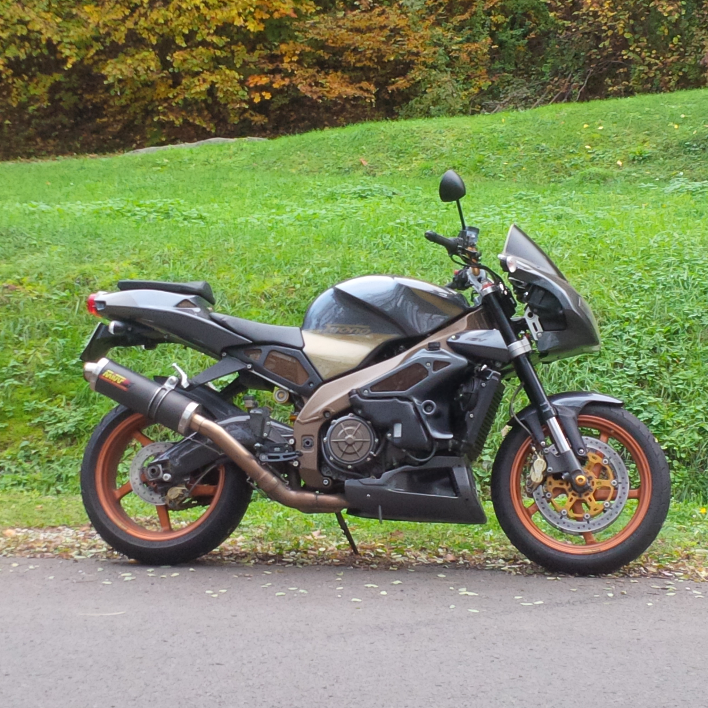 Photo 2762346