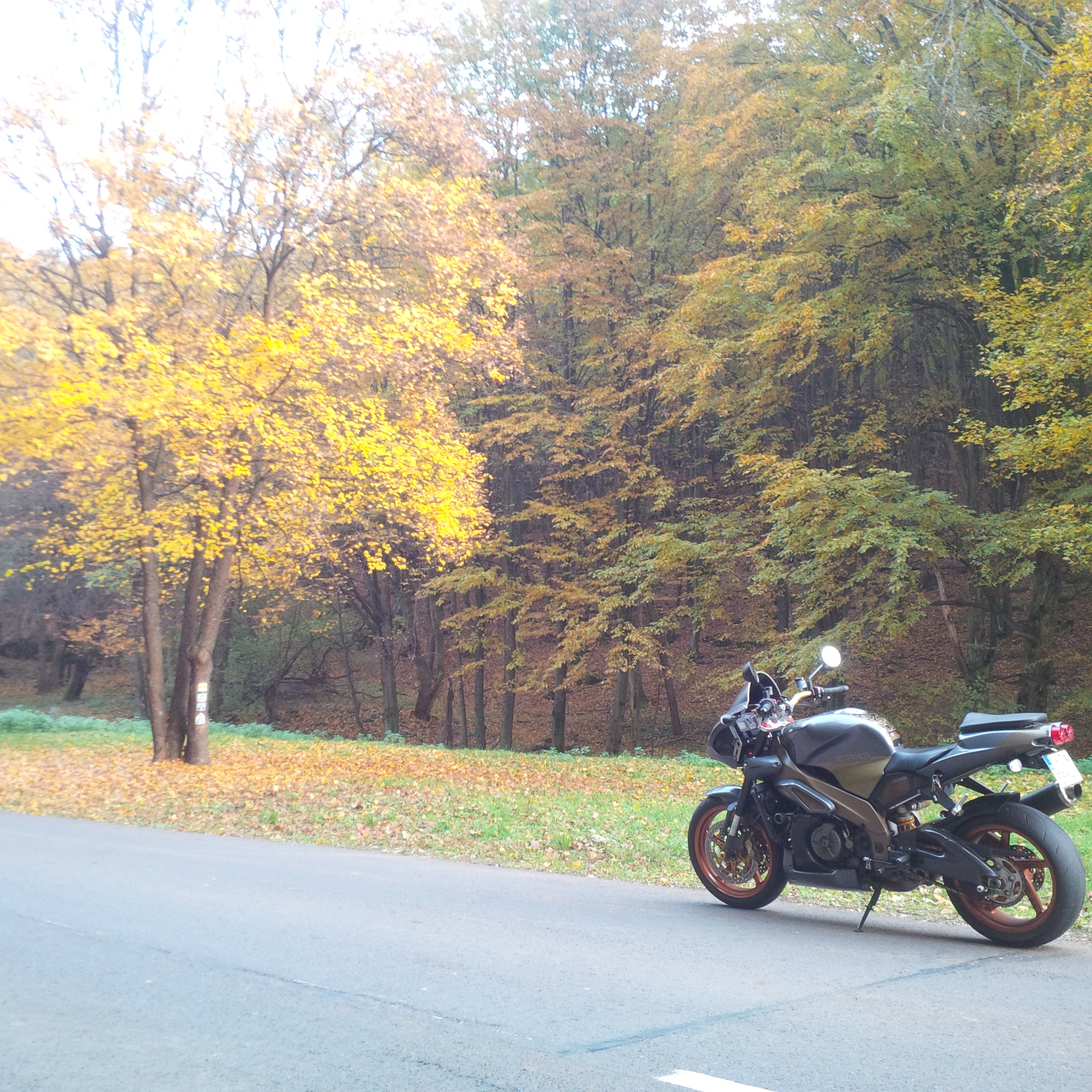 Photo 2762347
