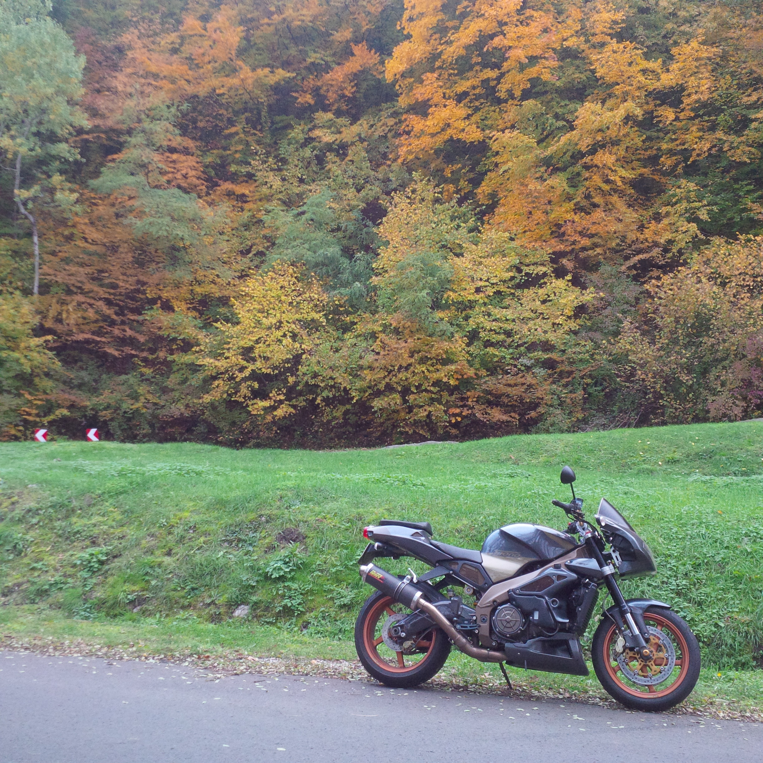 Photo 2762348