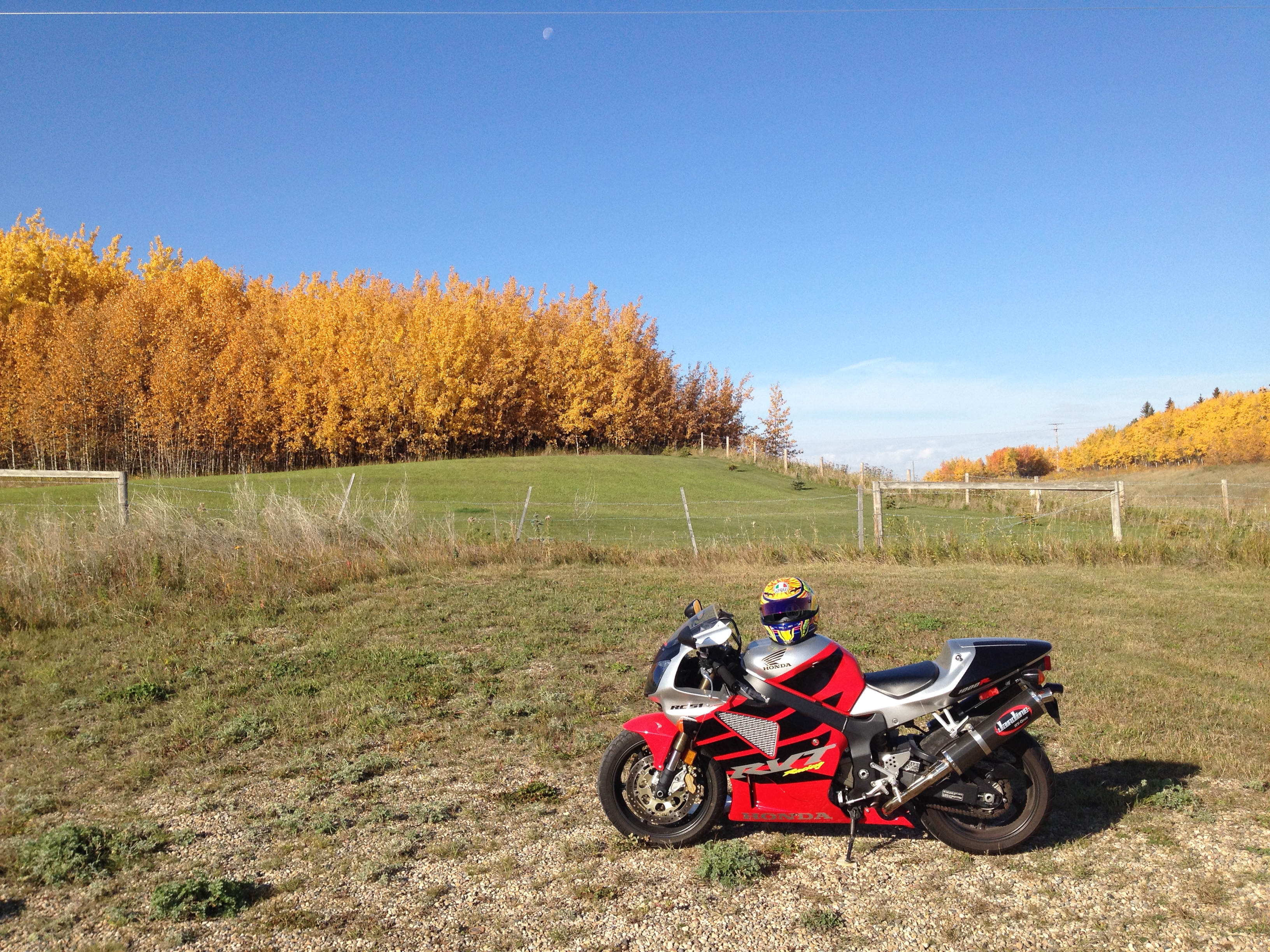 Photo 2762404