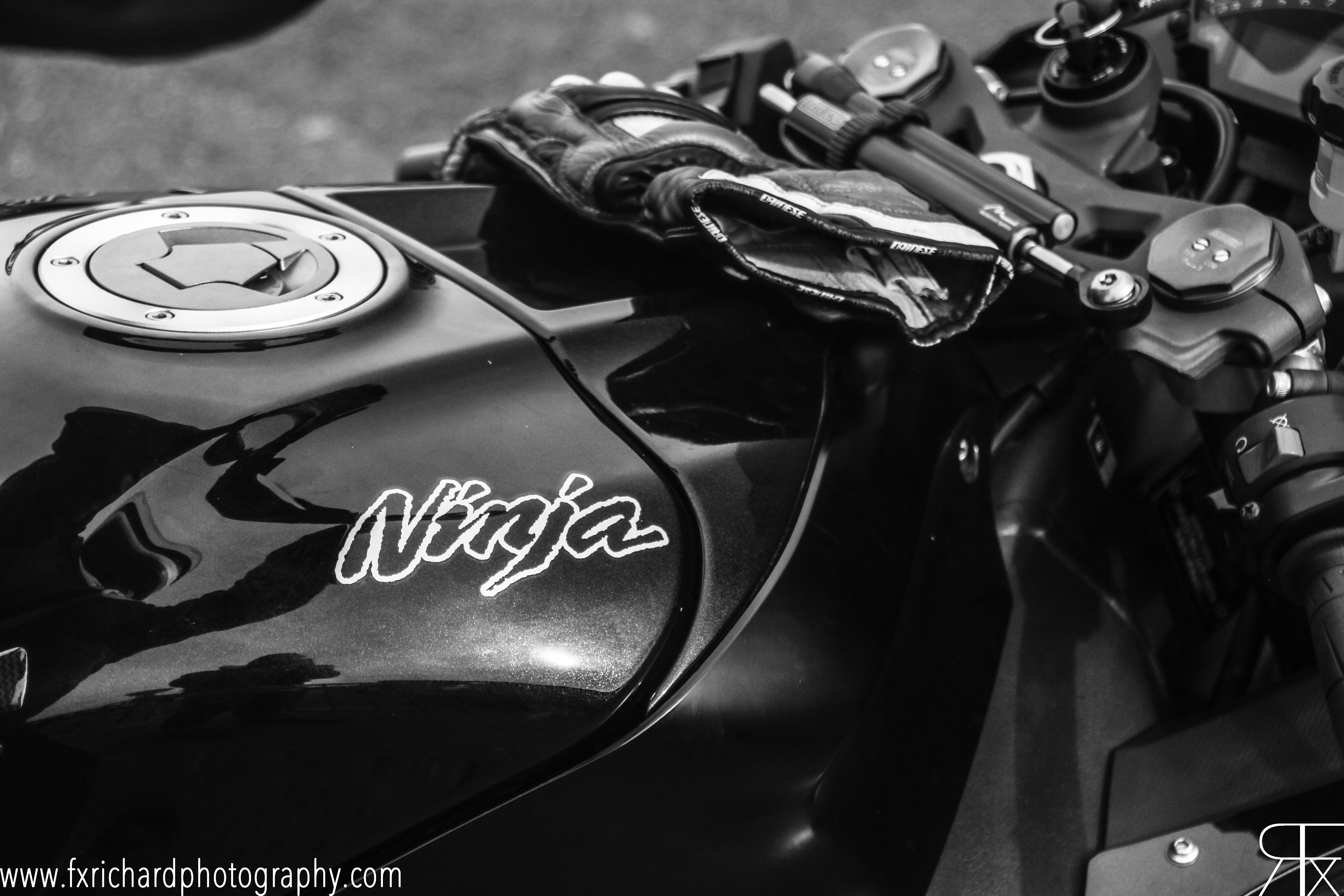 Photo 2762460