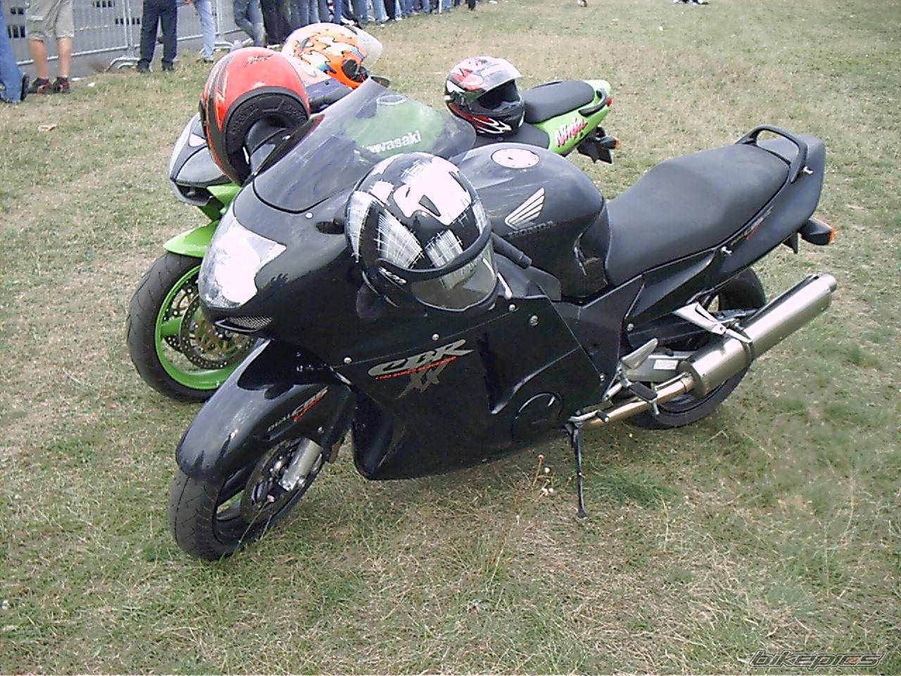 Photo 276247