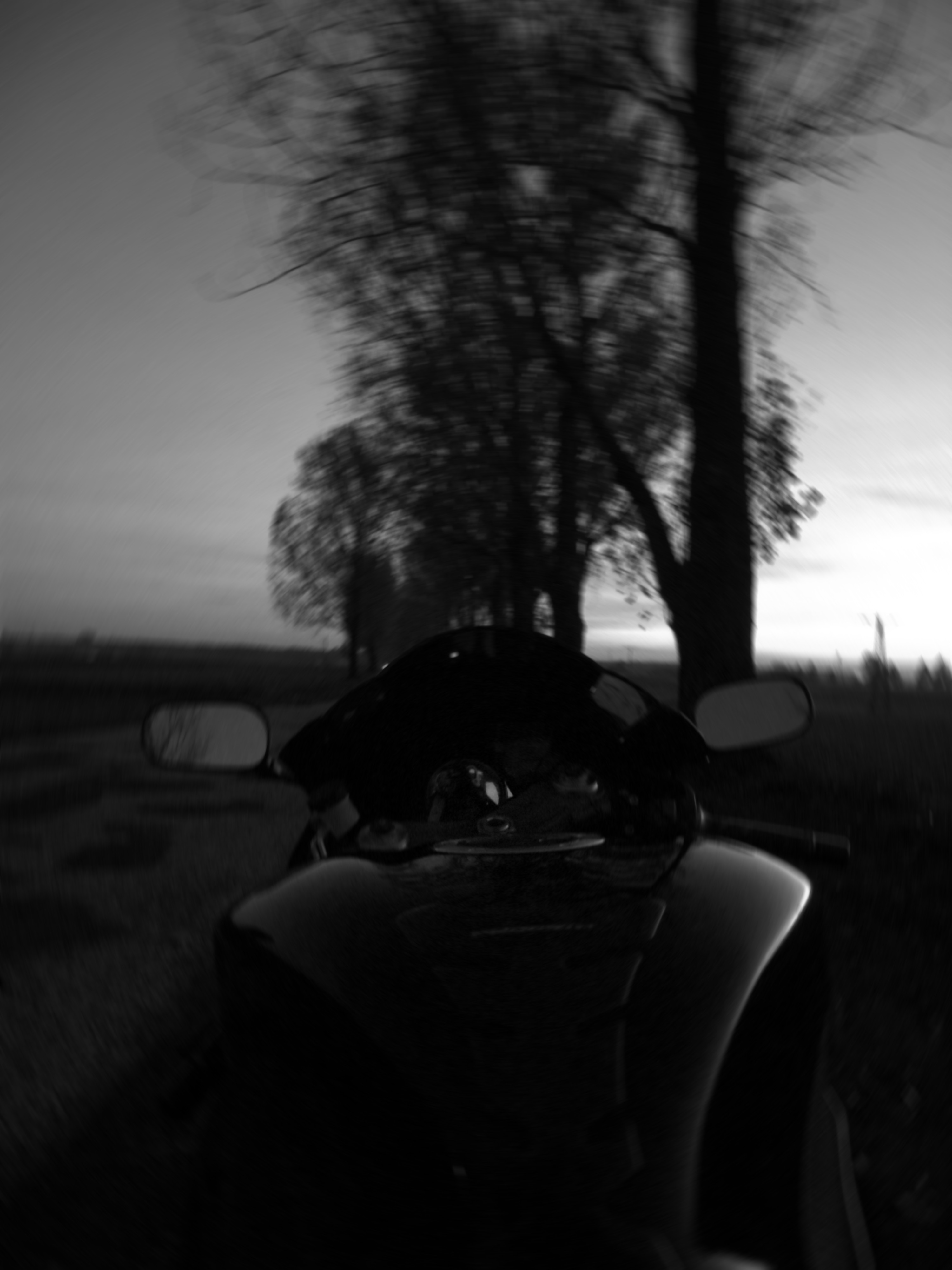 Photo 2762487