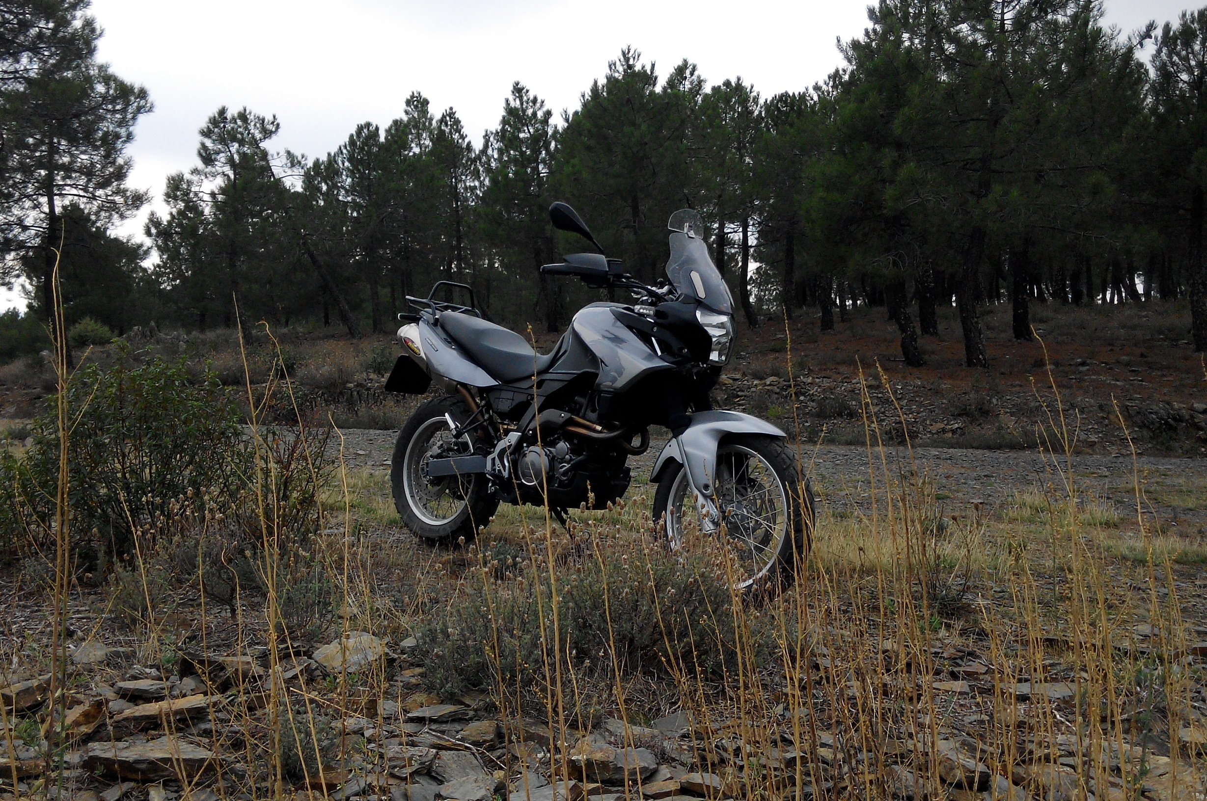 Photo 2762529