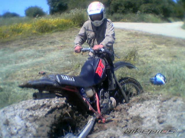 Photo 276257