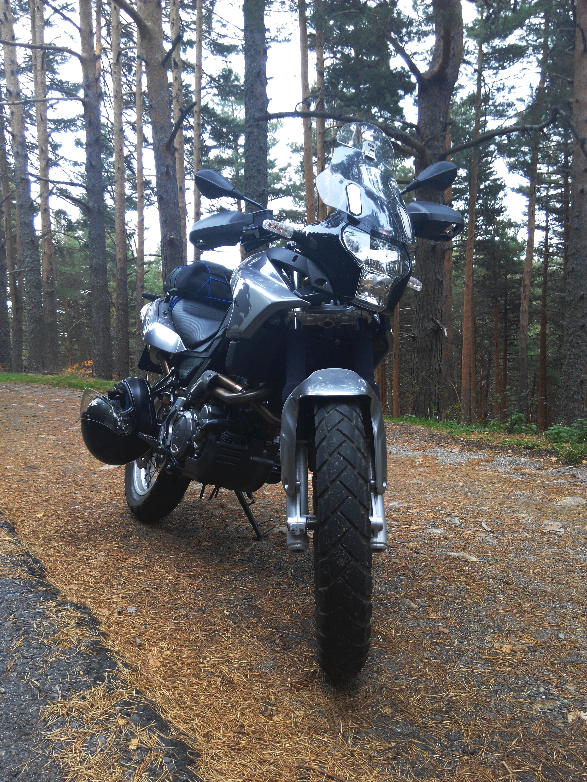 Photo 2762570
