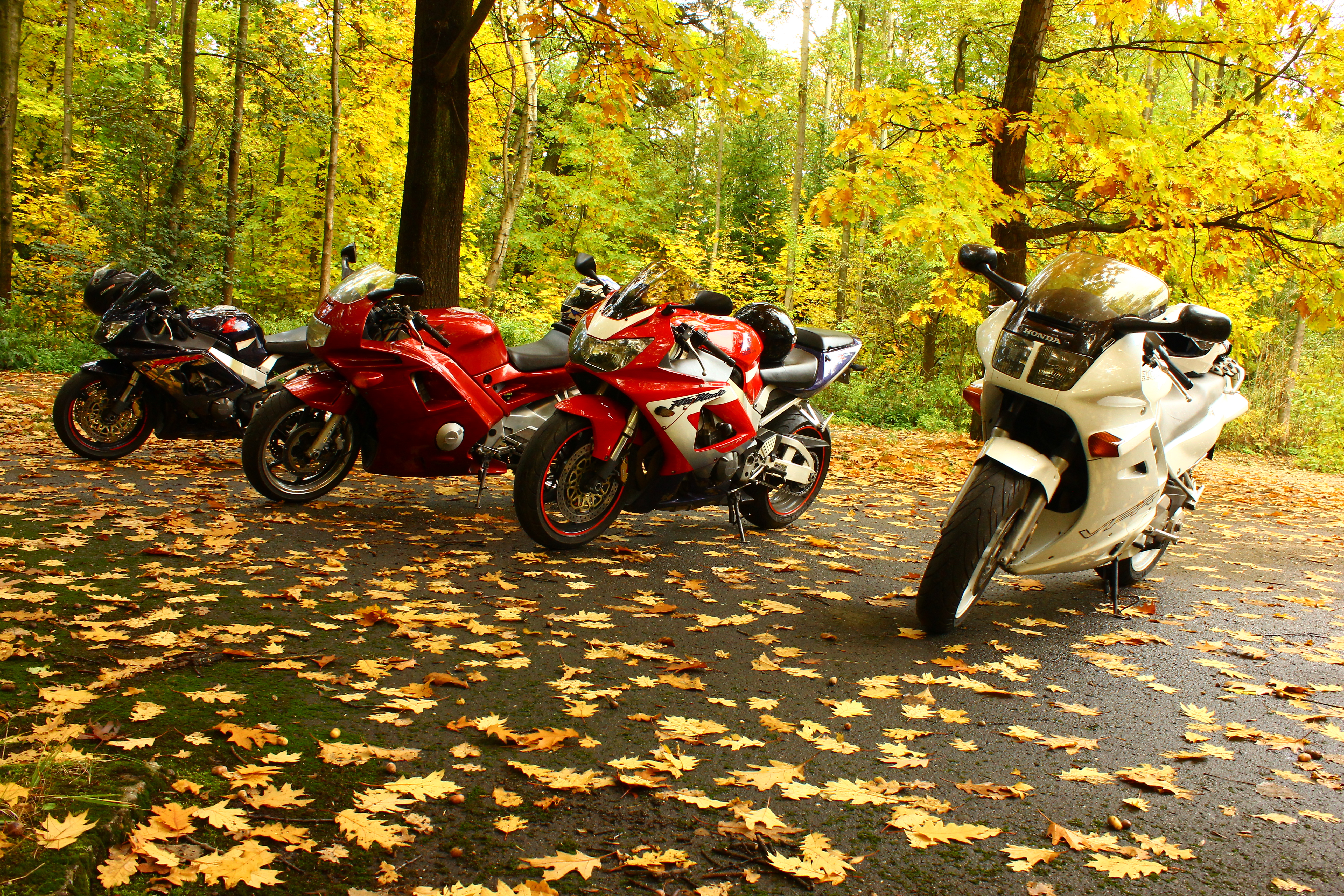 Bike Photo 2762597