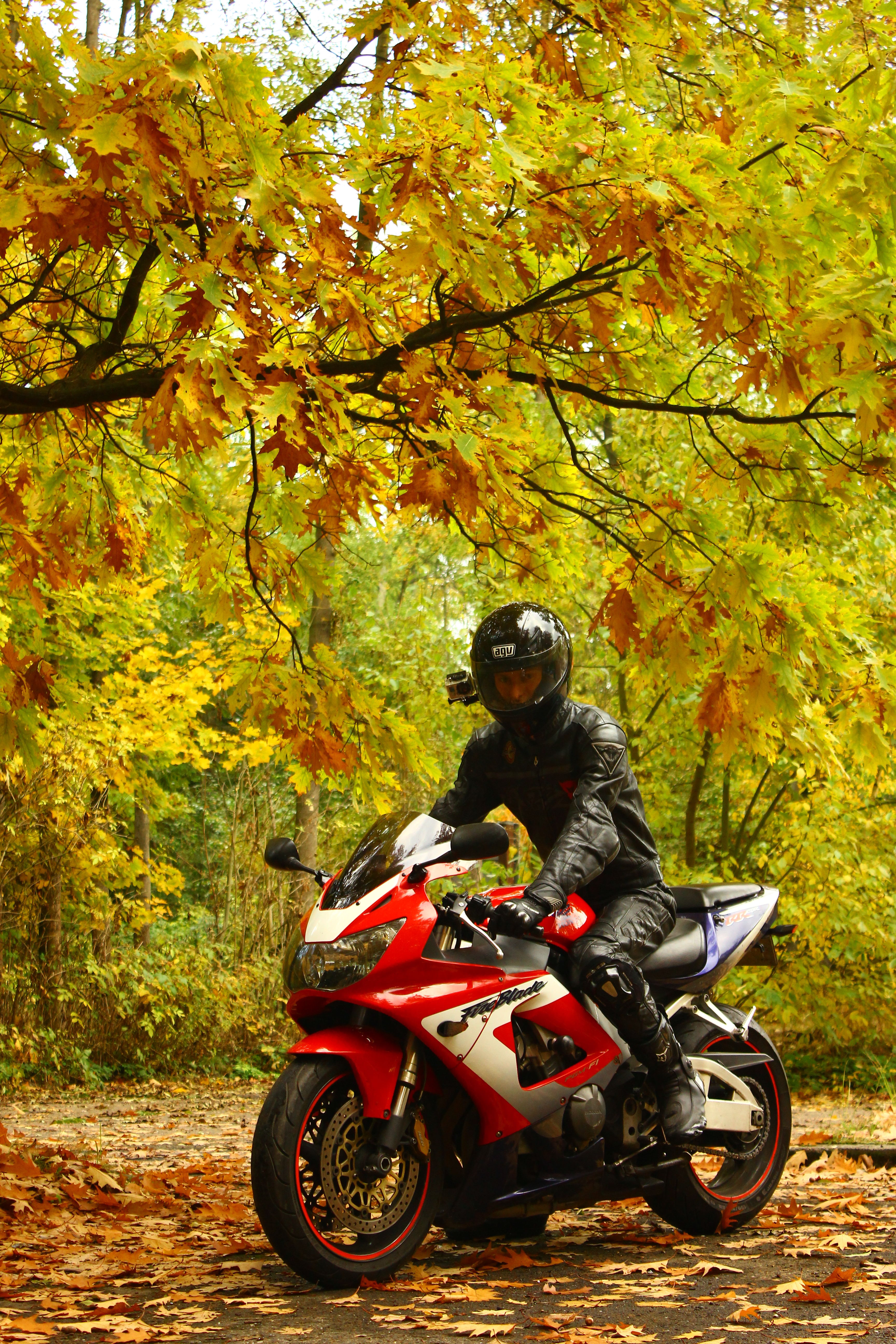 Bike Photo 2762598