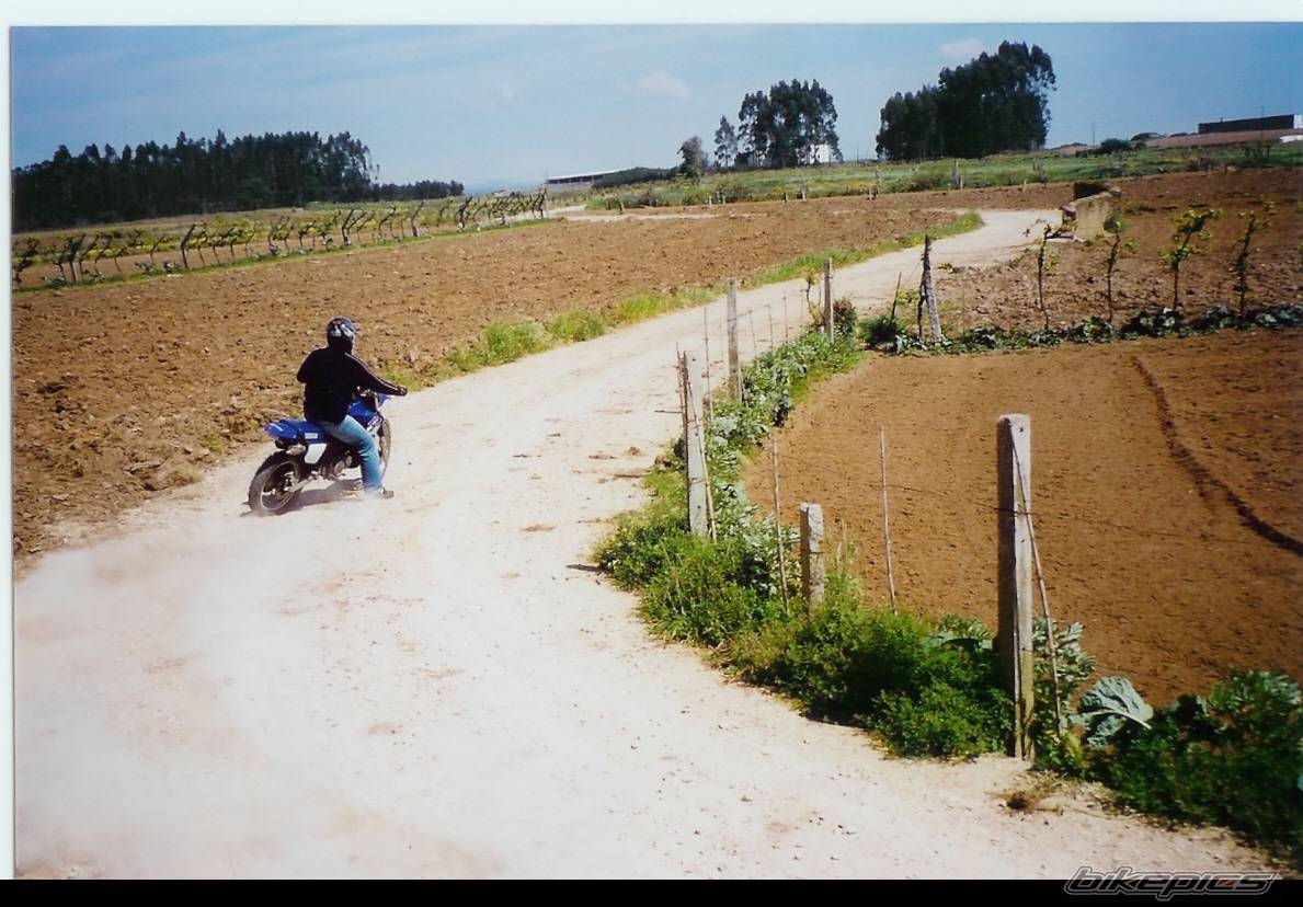 Bike Photo 276260