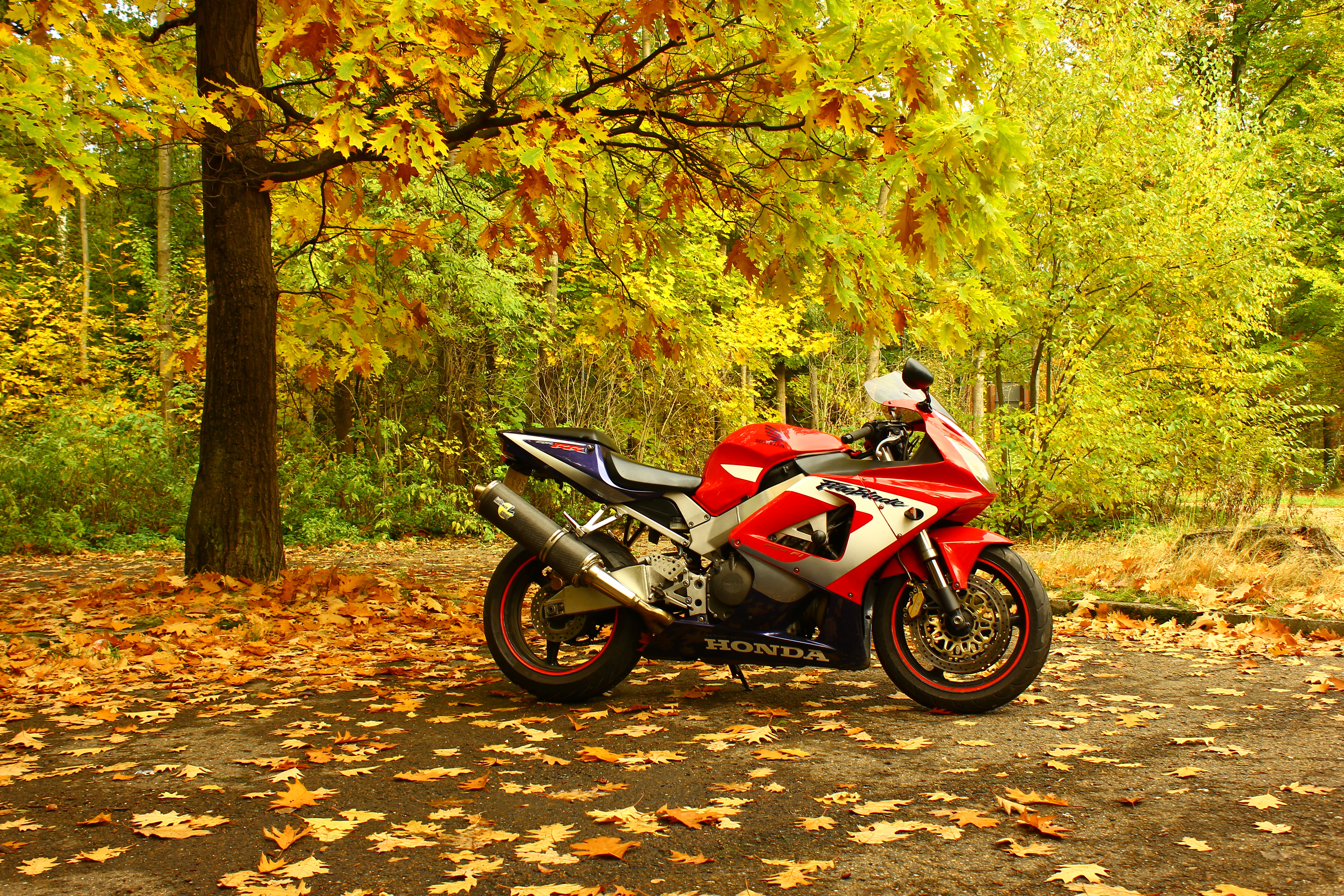Bike Photo 2762600