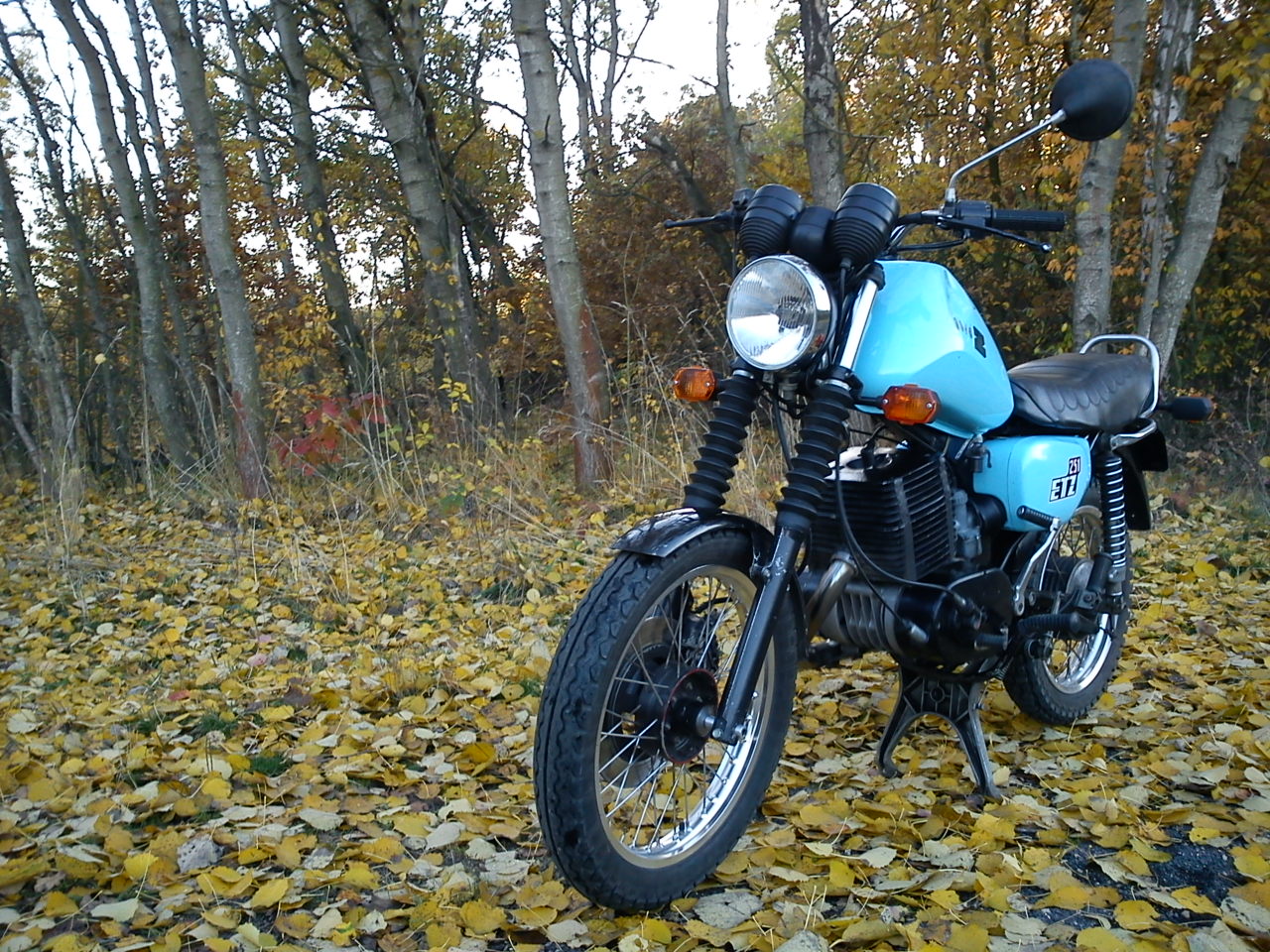 Photo 2762651