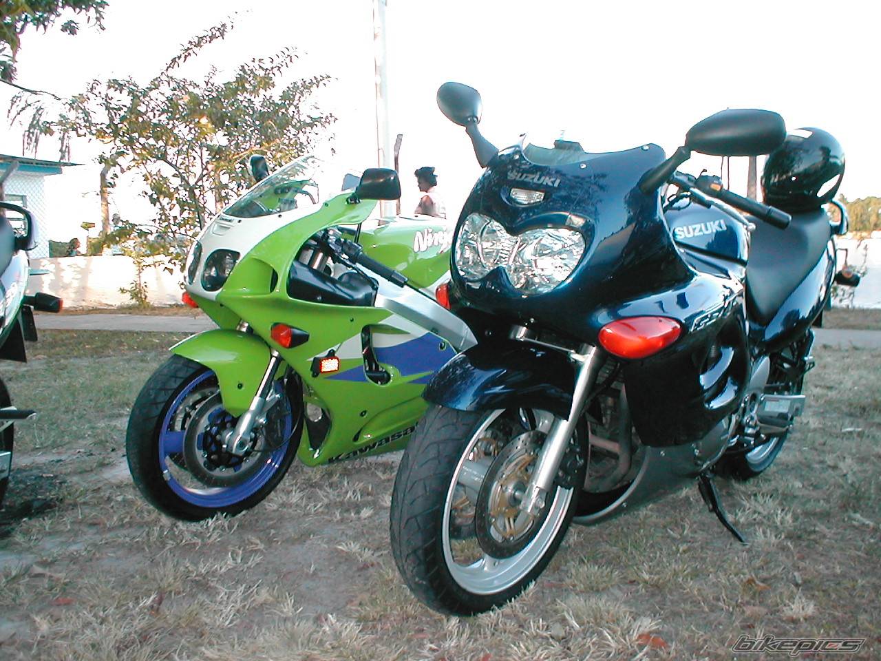 Photo 276266
