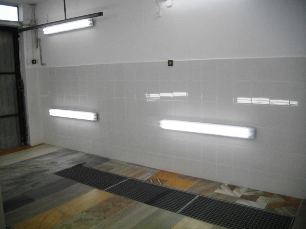 Photo 2762699