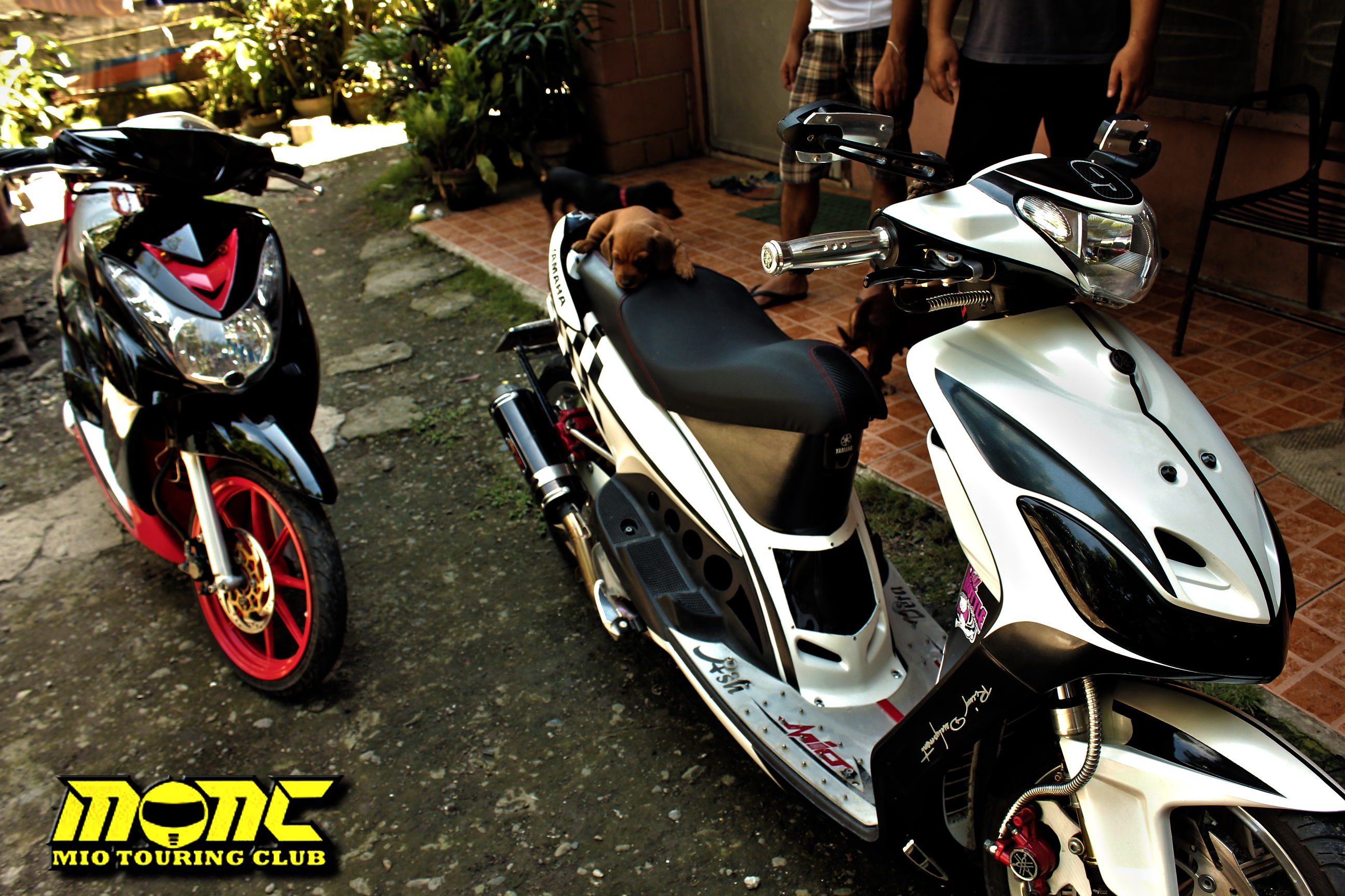 Photo 2762724