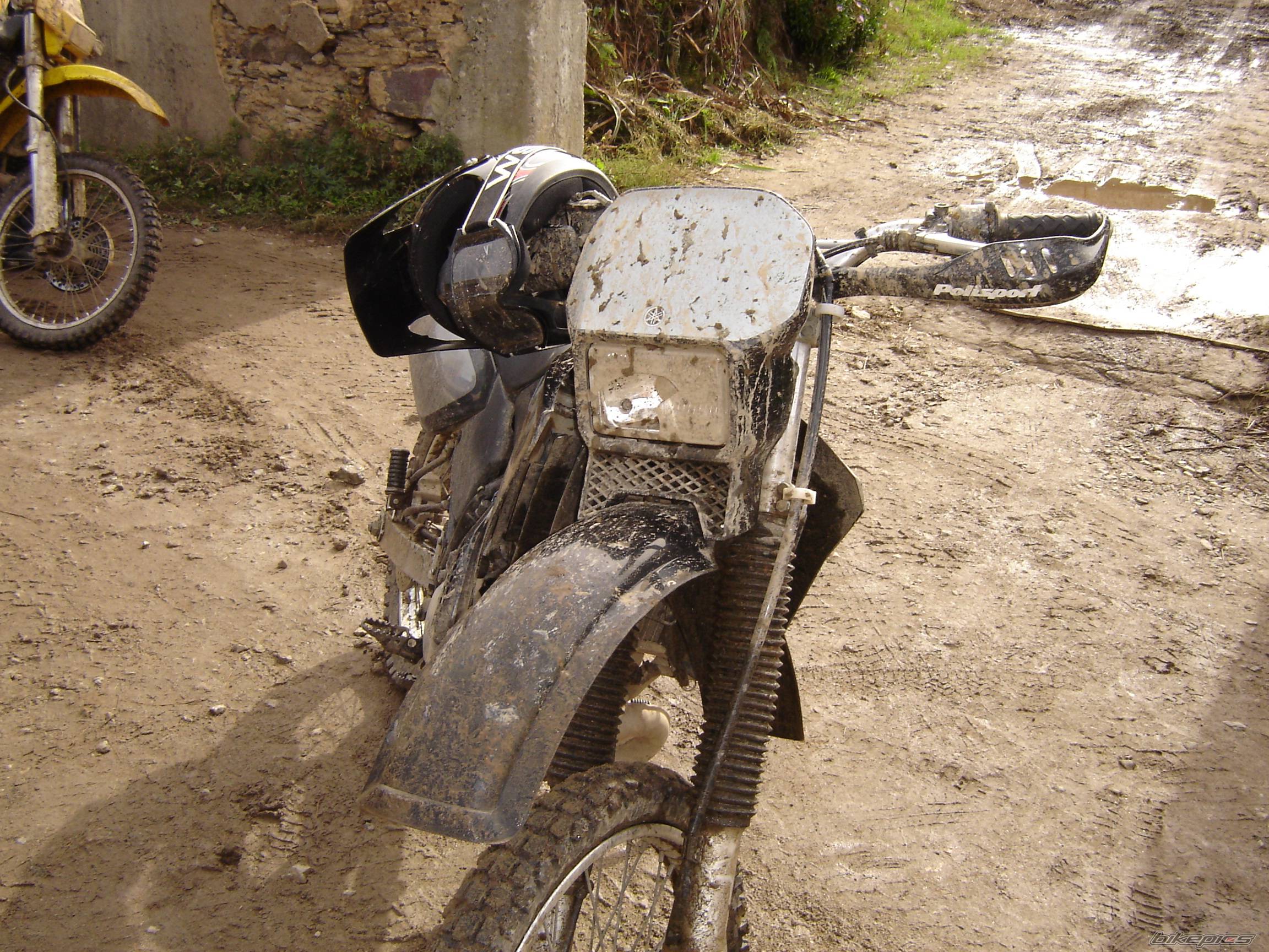 Bike Photo 276303