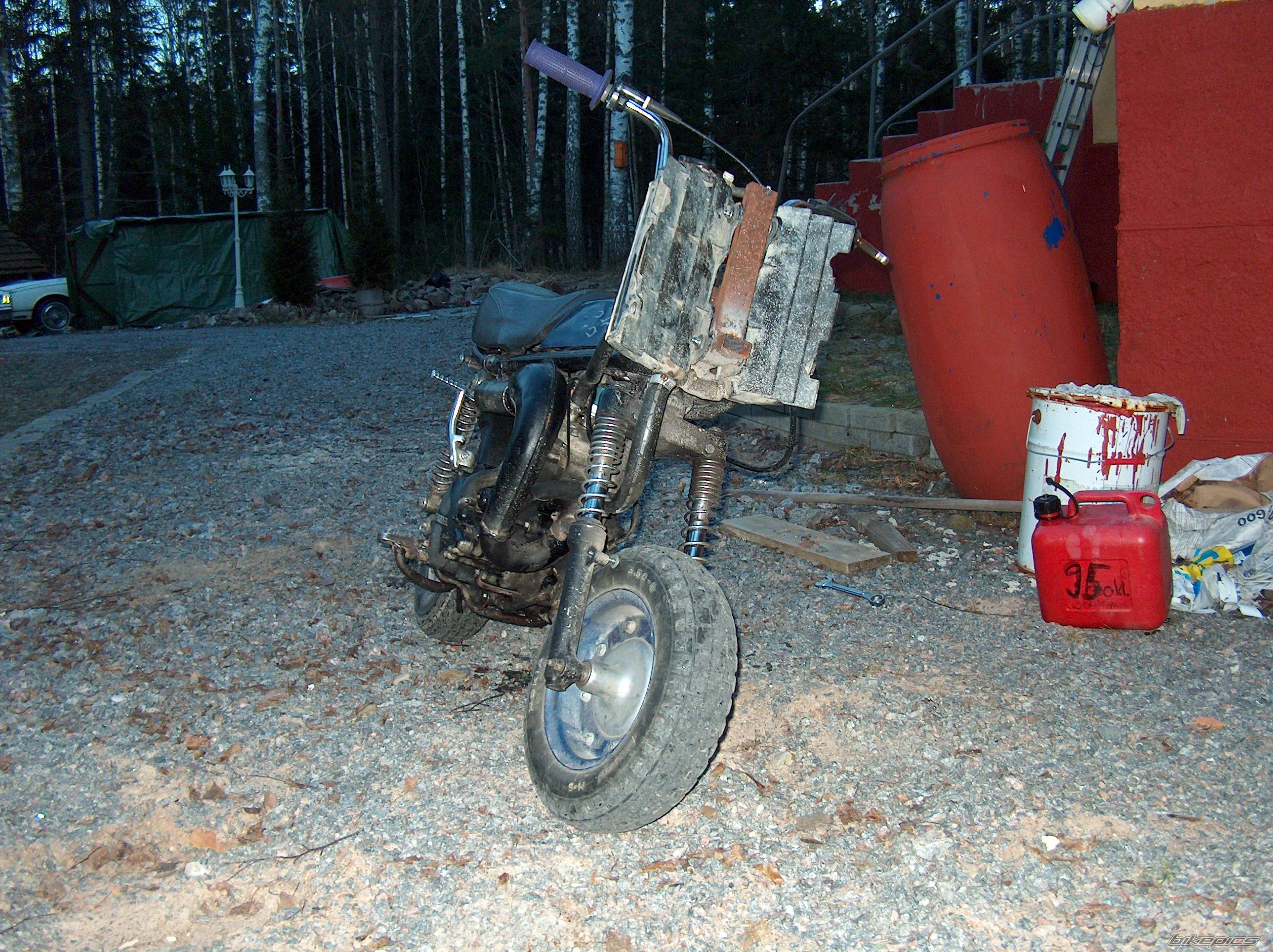 Photo 276311
