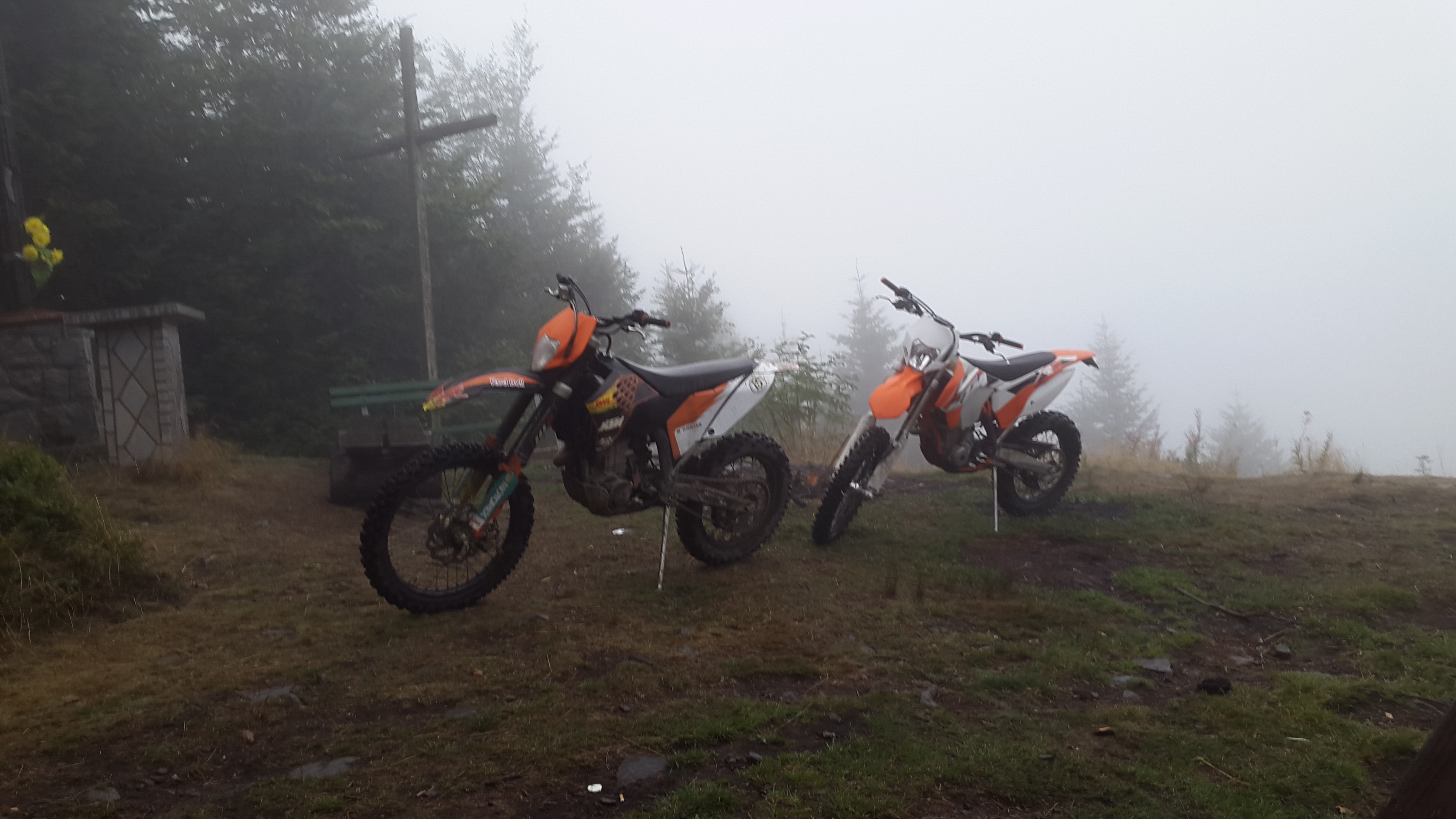 Photo 2763117