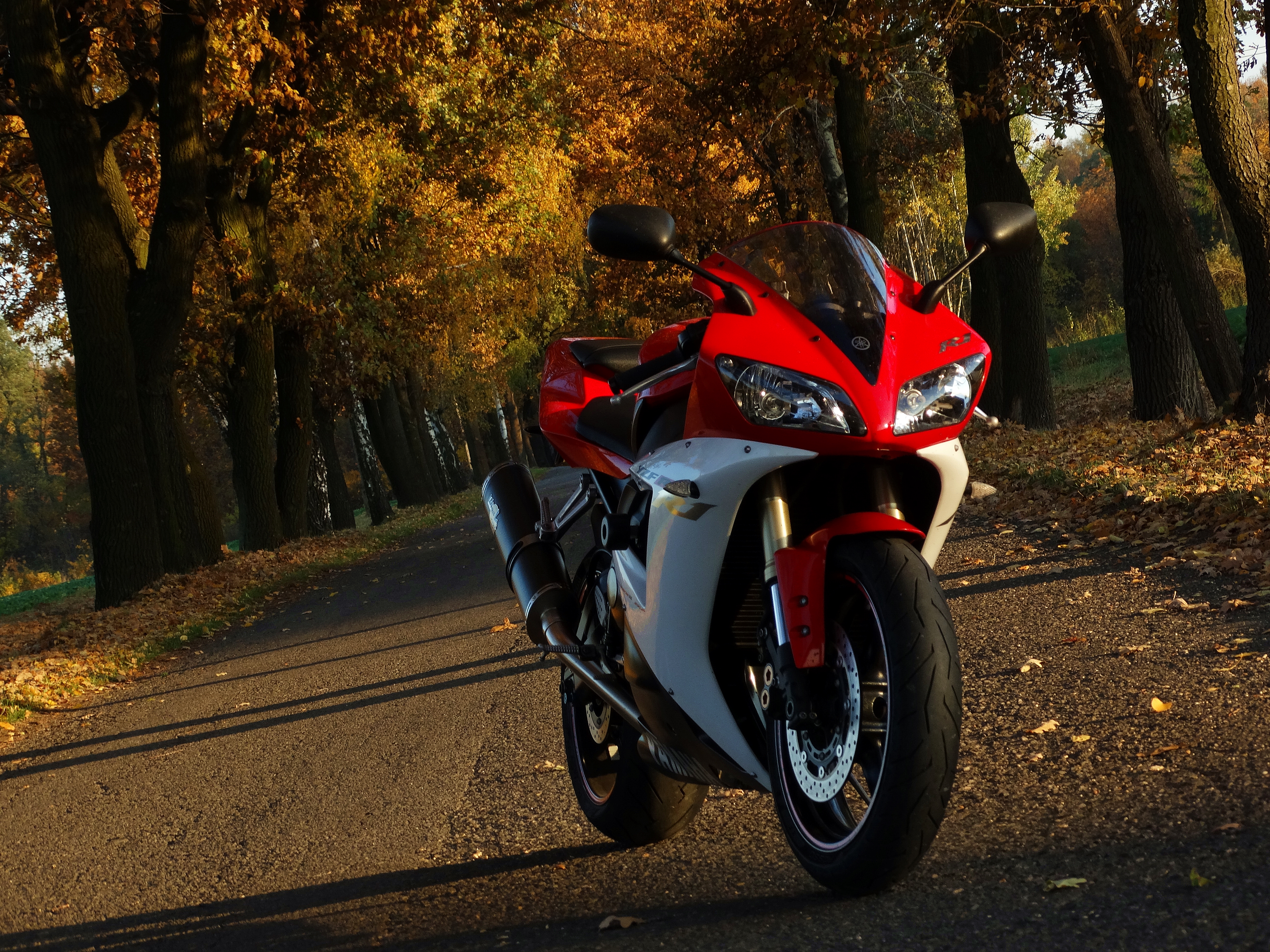 Bike Photo 2763220