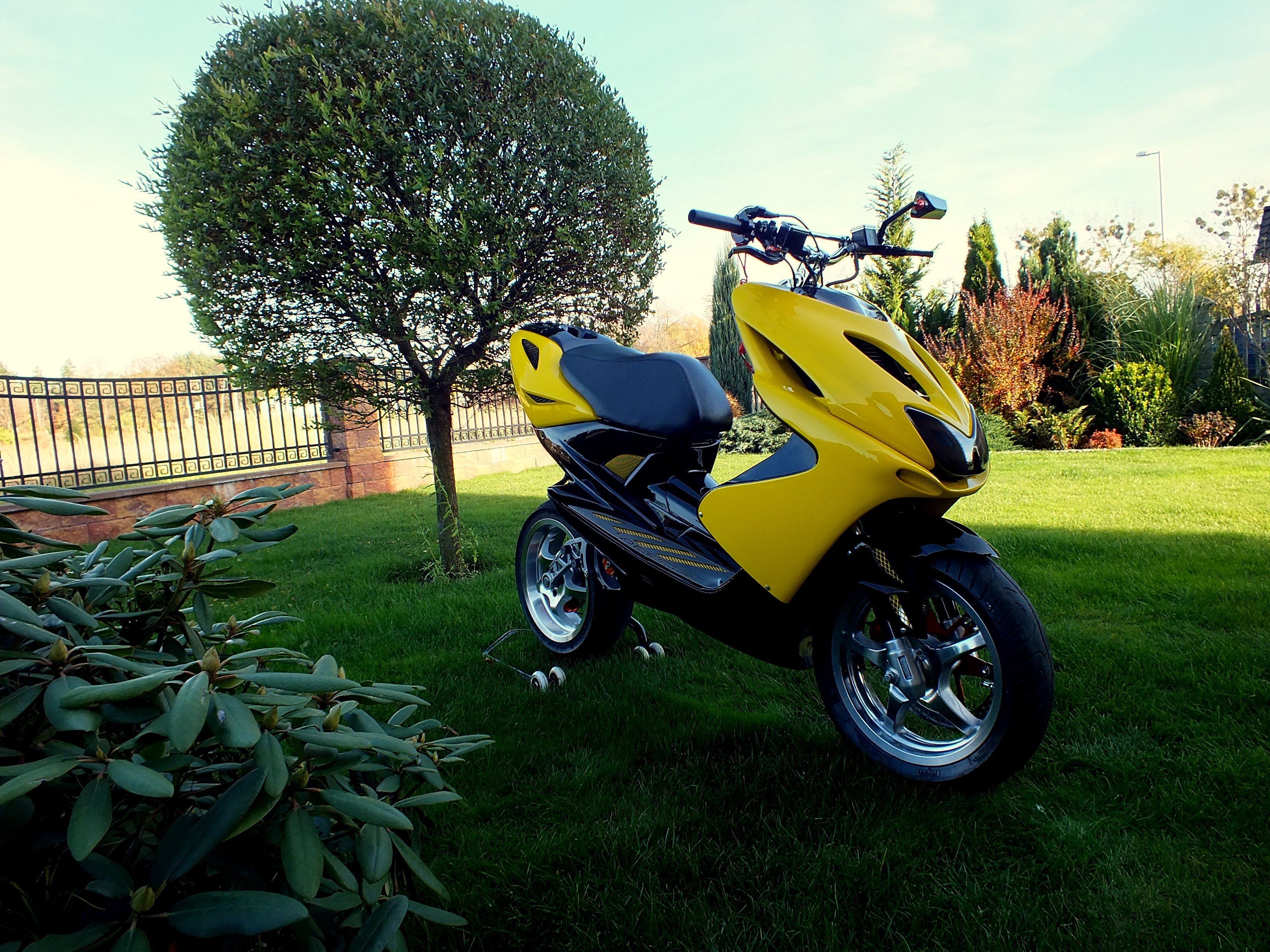 Photo 2763285