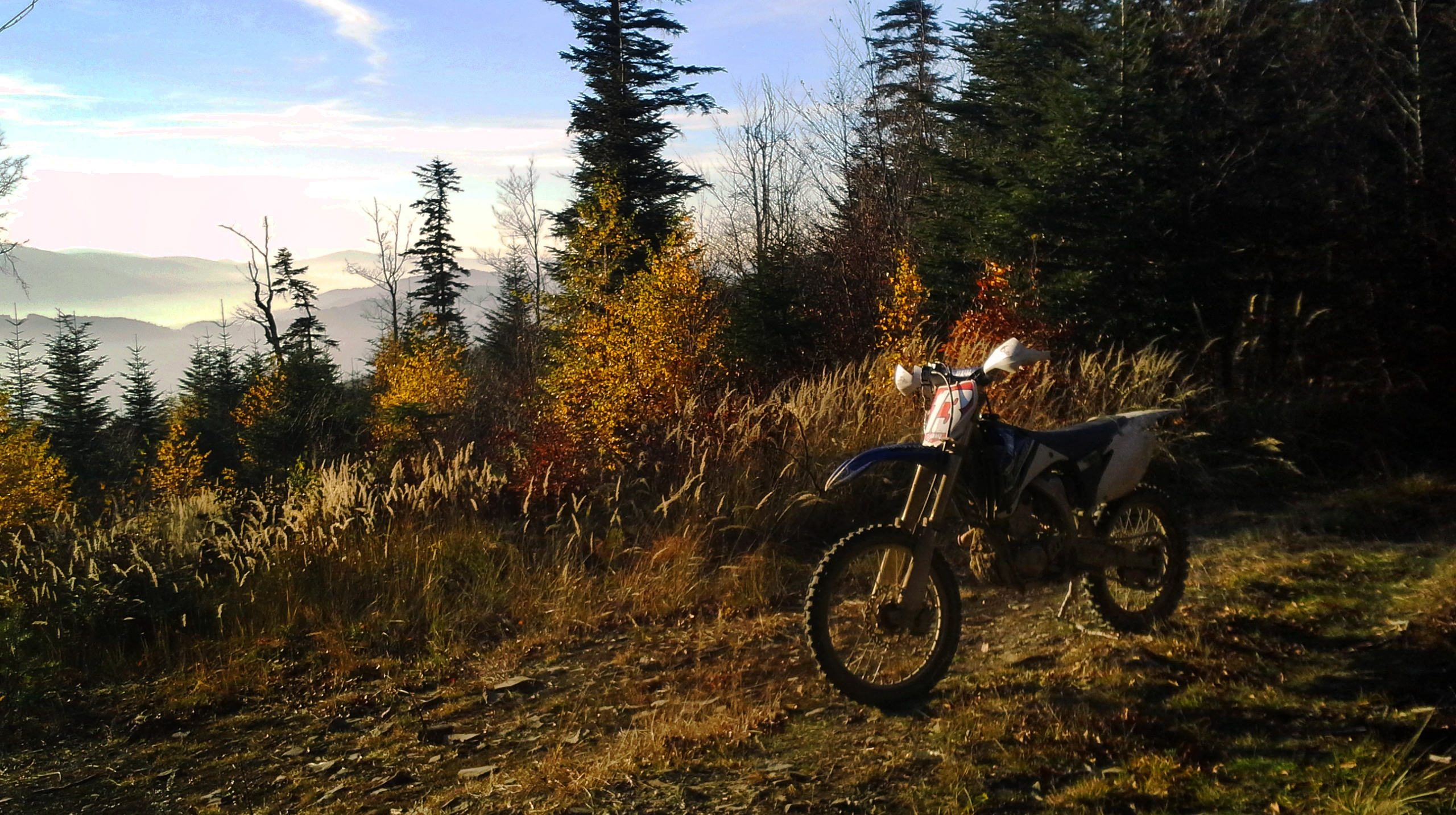 Photo 2763303