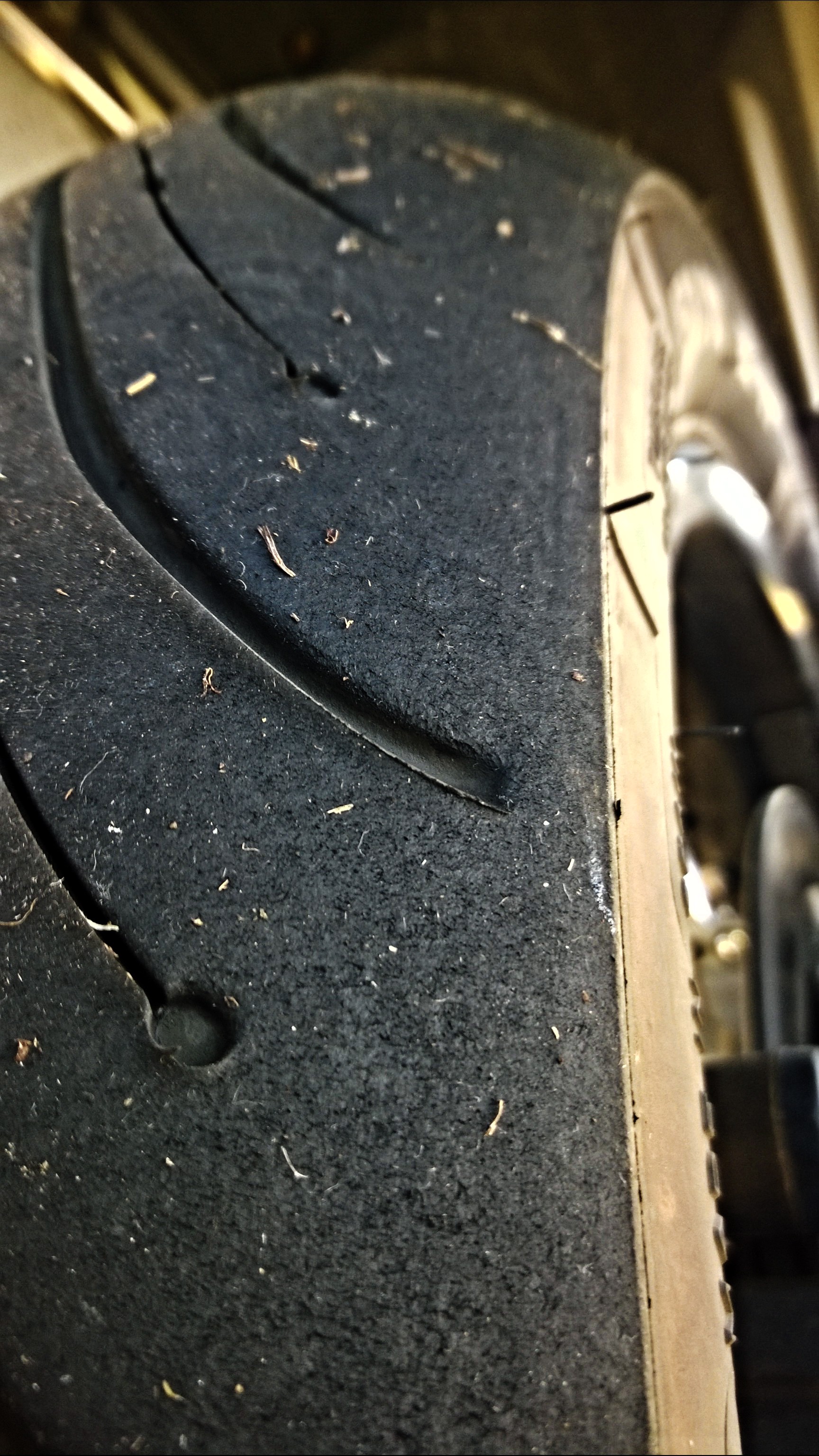 Photo 2763416