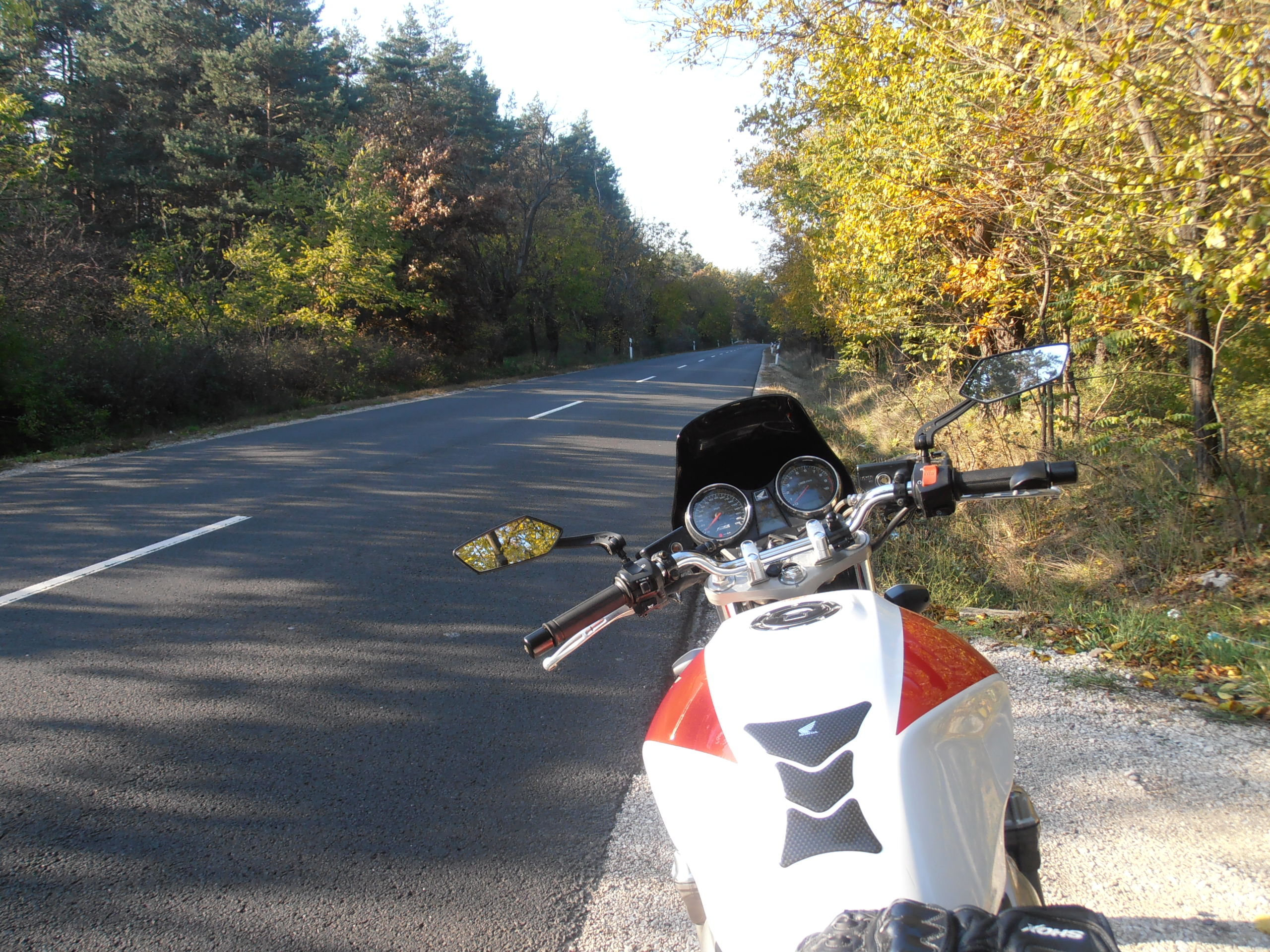 Photo 2763445
