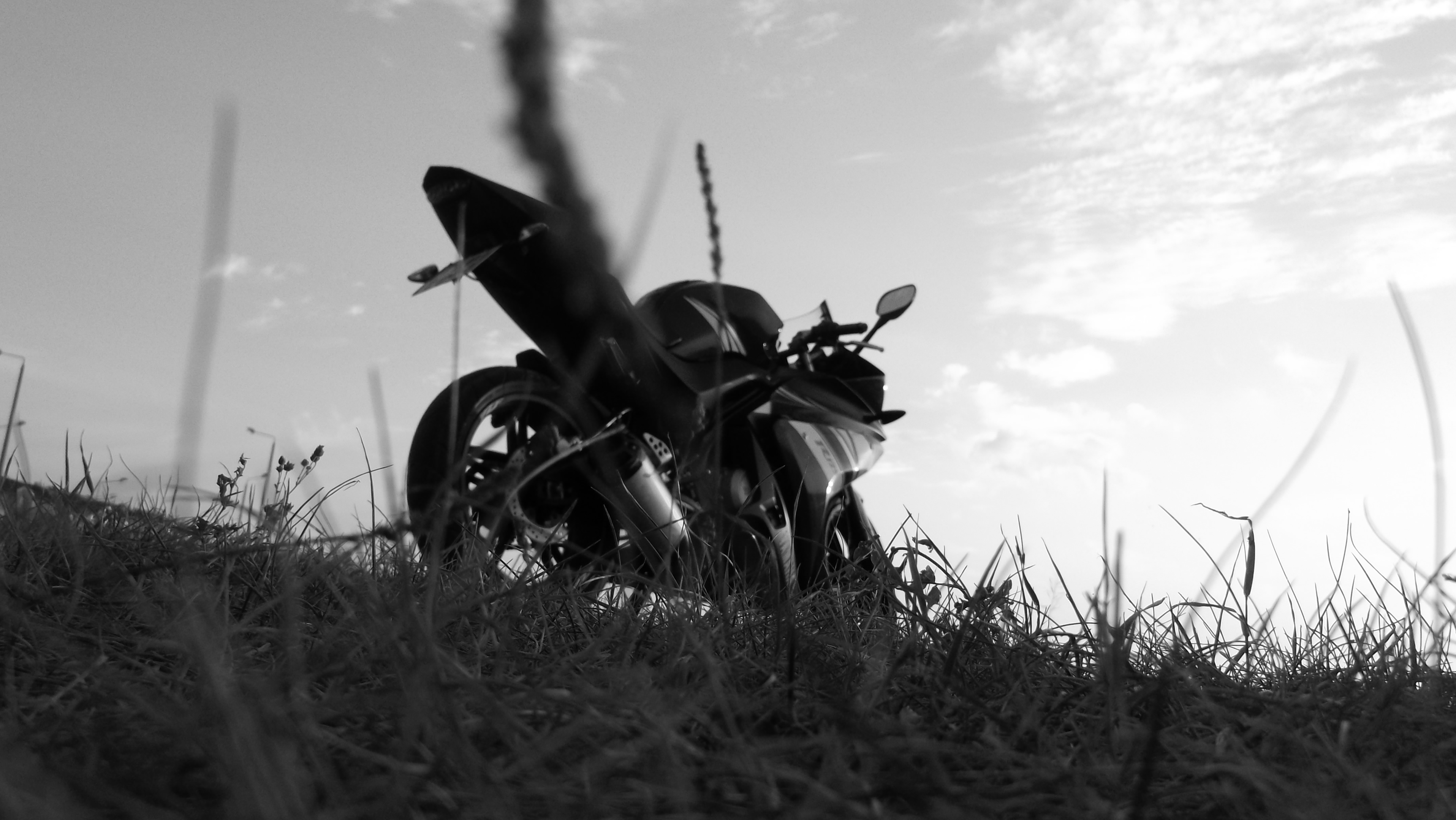Photo 2763457