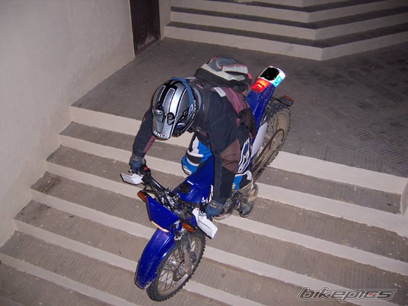 Photo 276348