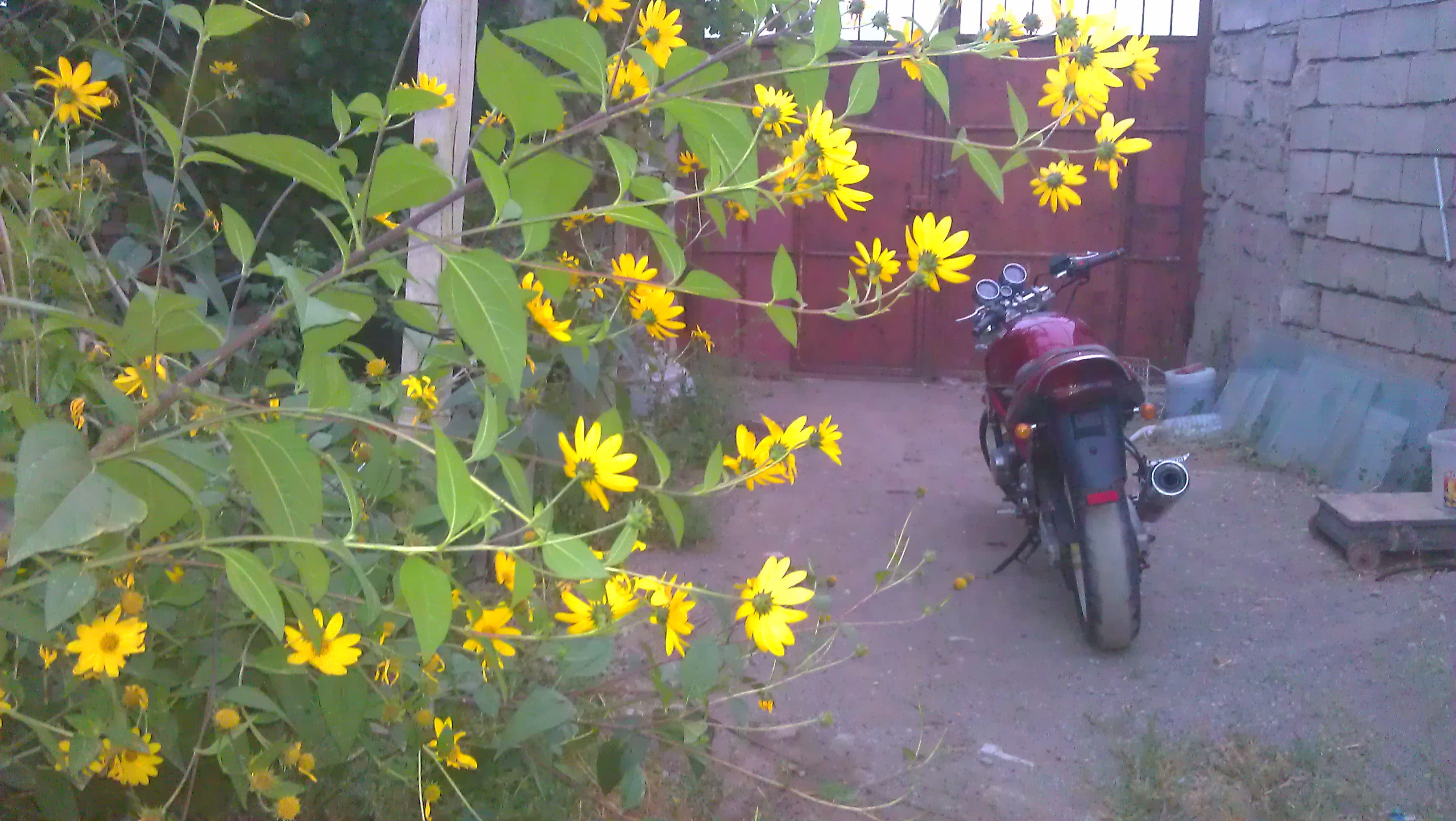 Photo 2763522