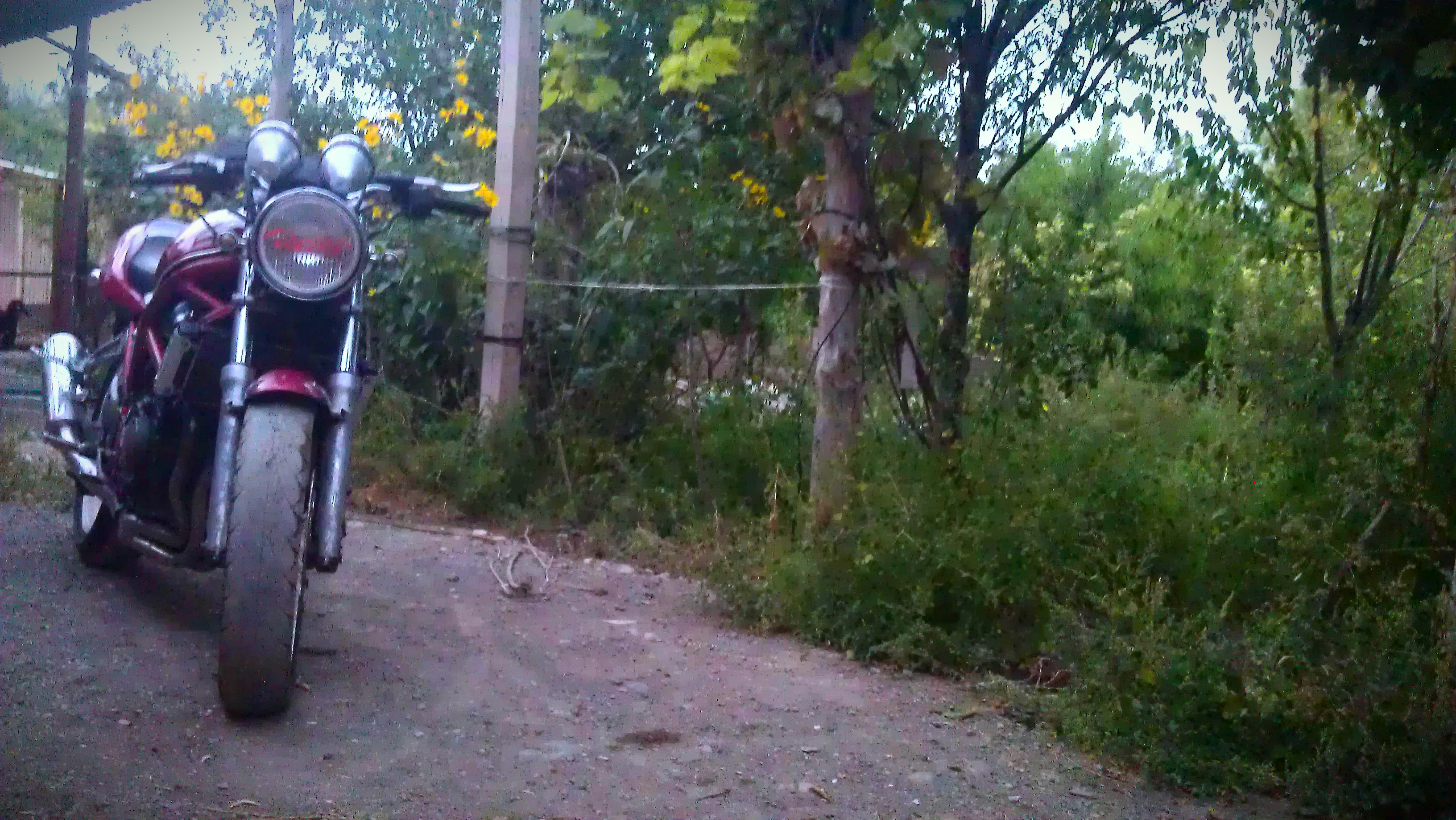 Bandit Vz