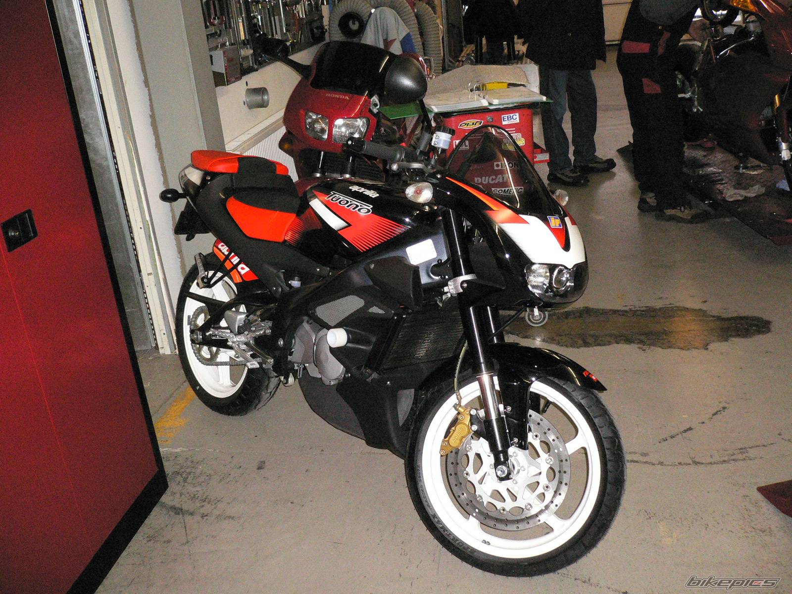 Photo 276353