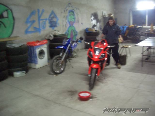 Photo 276354