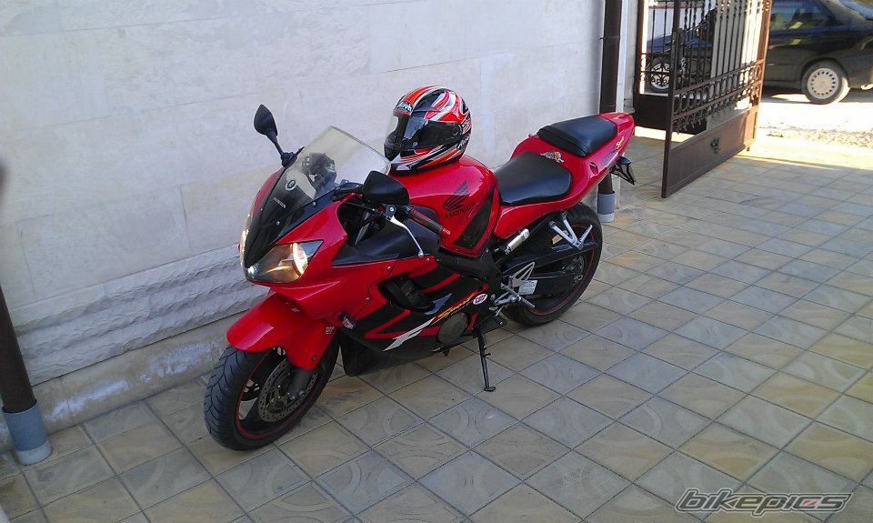 Photo 2763569
