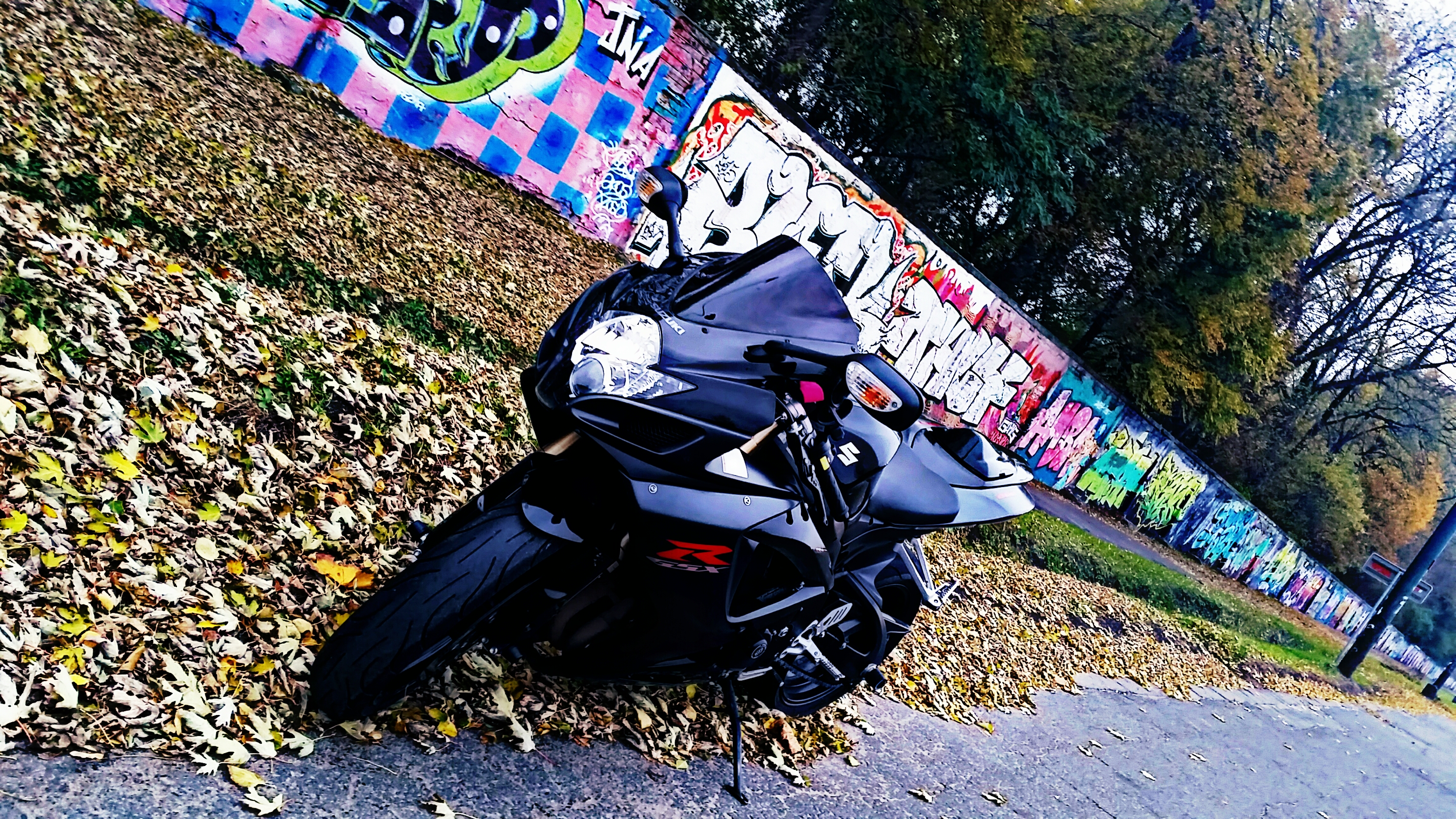 Photo 2763591