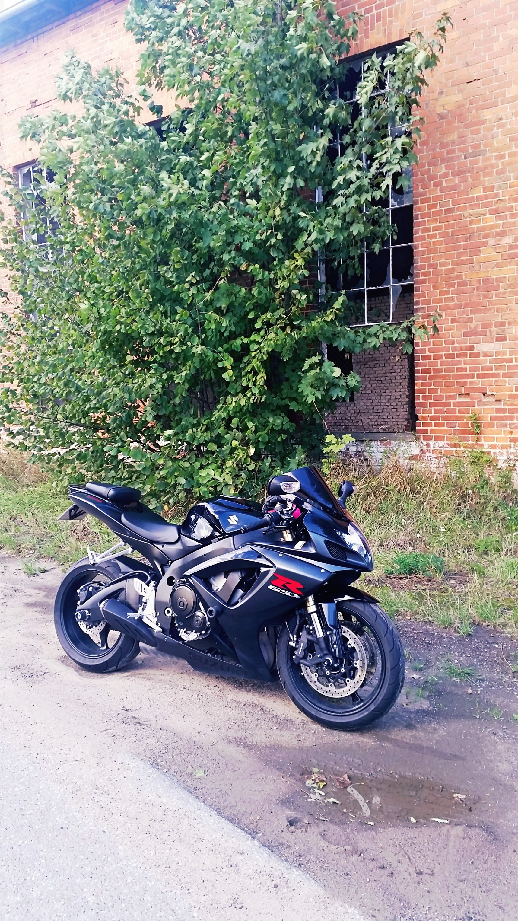 Photo 2763593